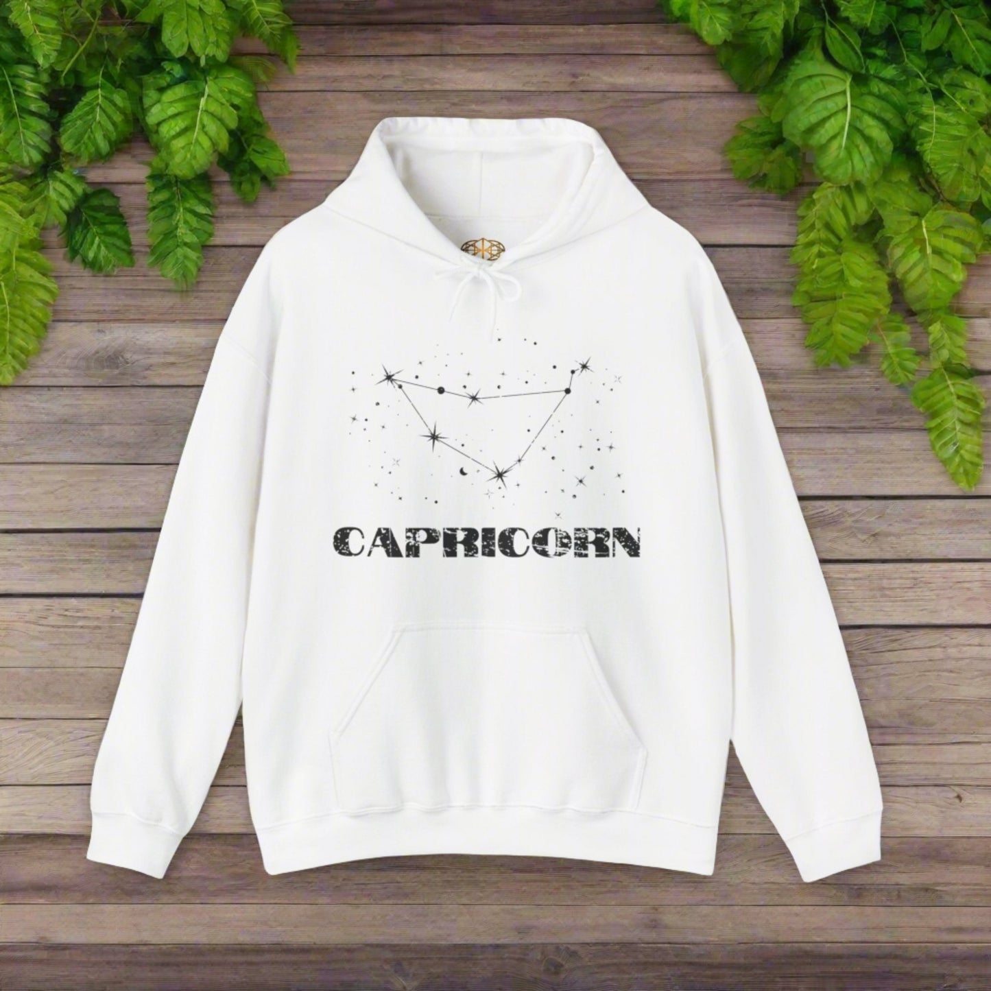 Astrology: Capricorn Hoodie | Coded to Increase Intuition