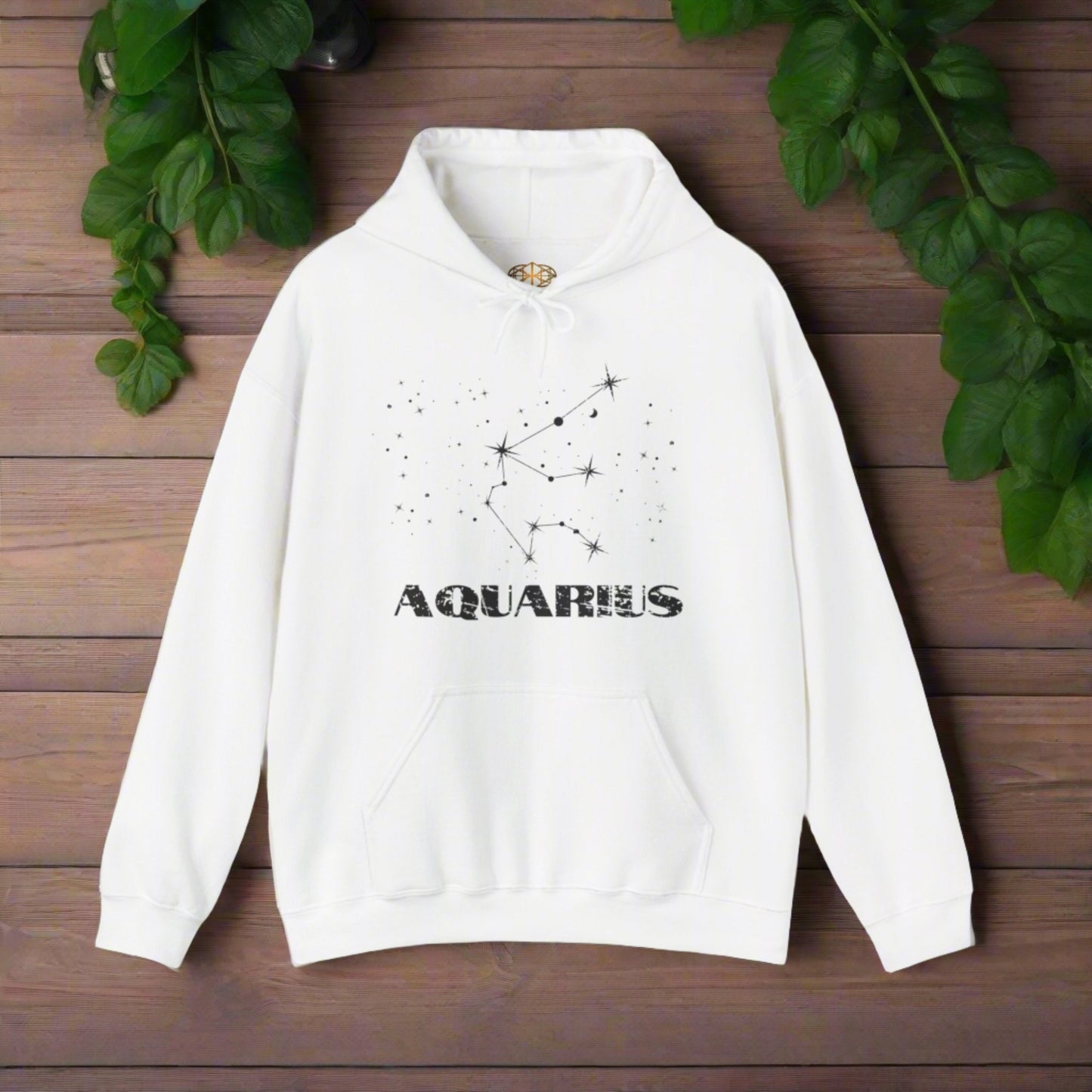 Astrology: Aquarius Hoodie | Coded to Increase Intuition