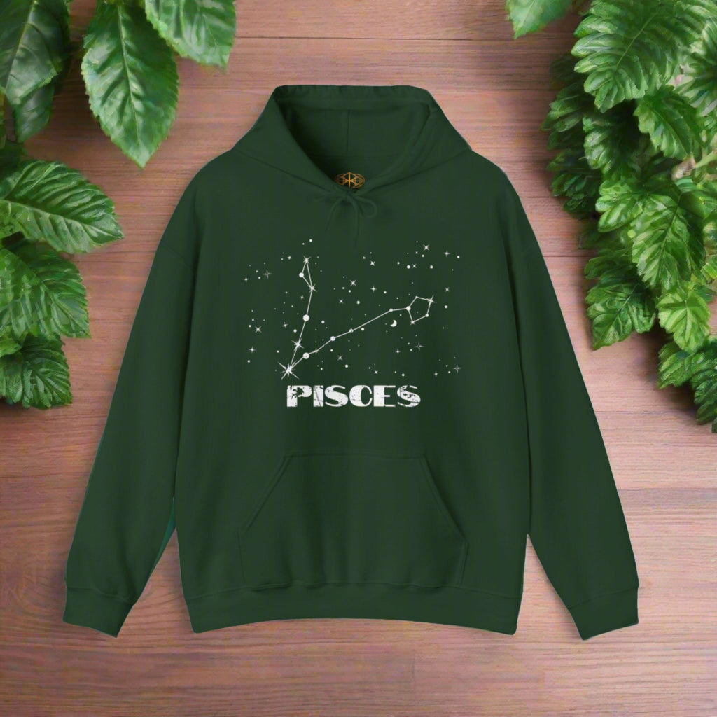 Astrology: Pisces Hoodie | Coded to Increase Intuition