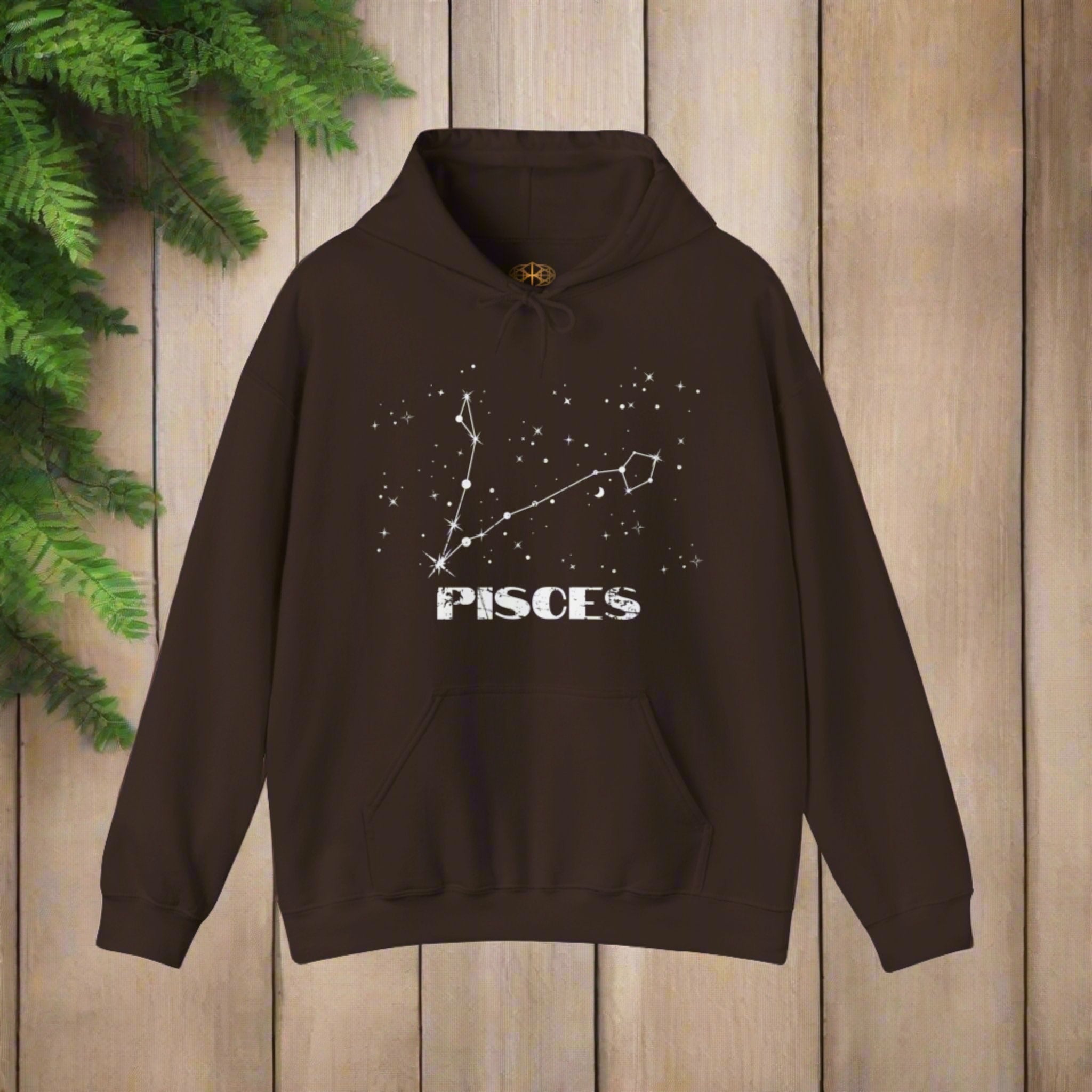 Astrology: Pisces Hoodie | Coded to Increase Intuition