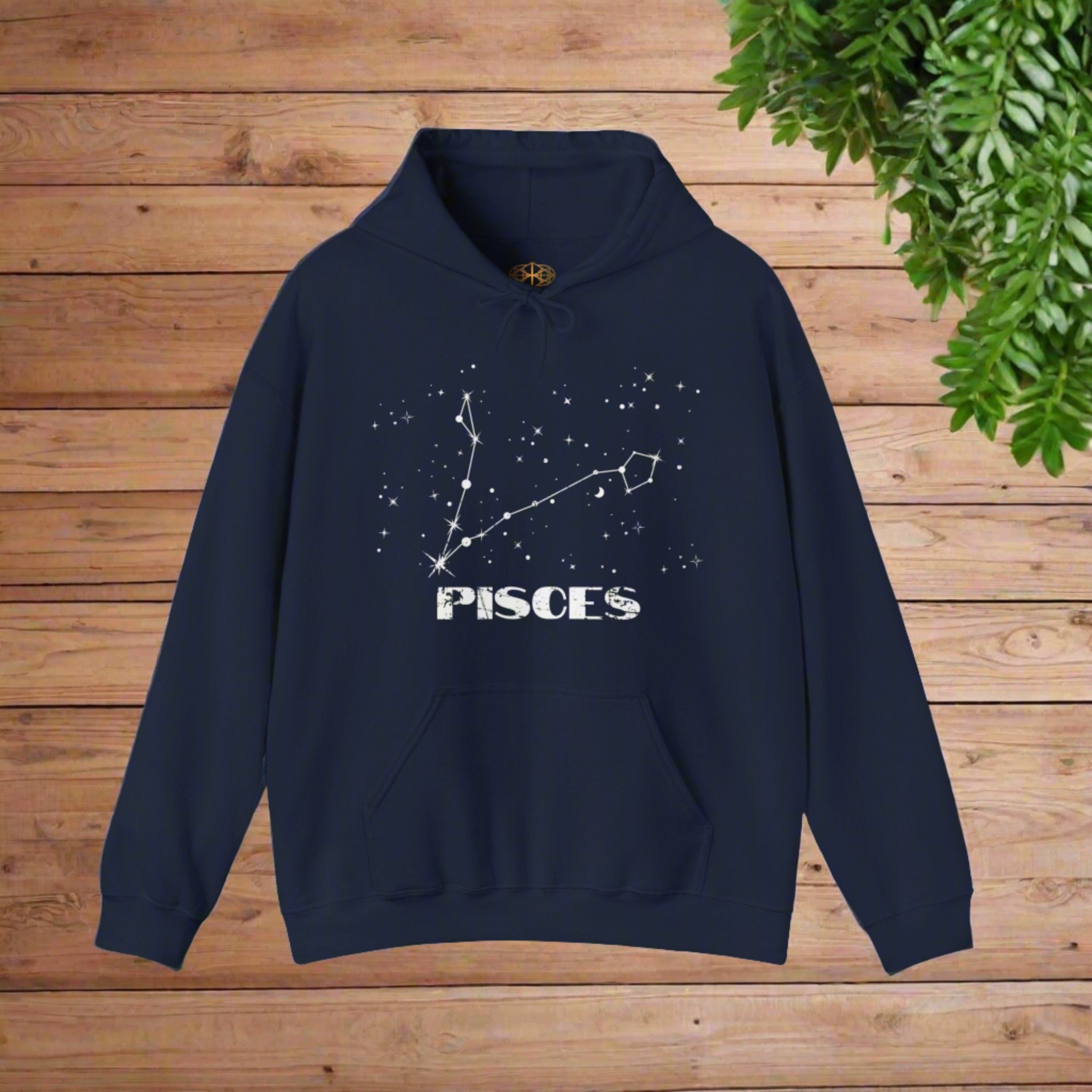 Astrology: Pisces Hoodie | Coded to Increase Intuition
