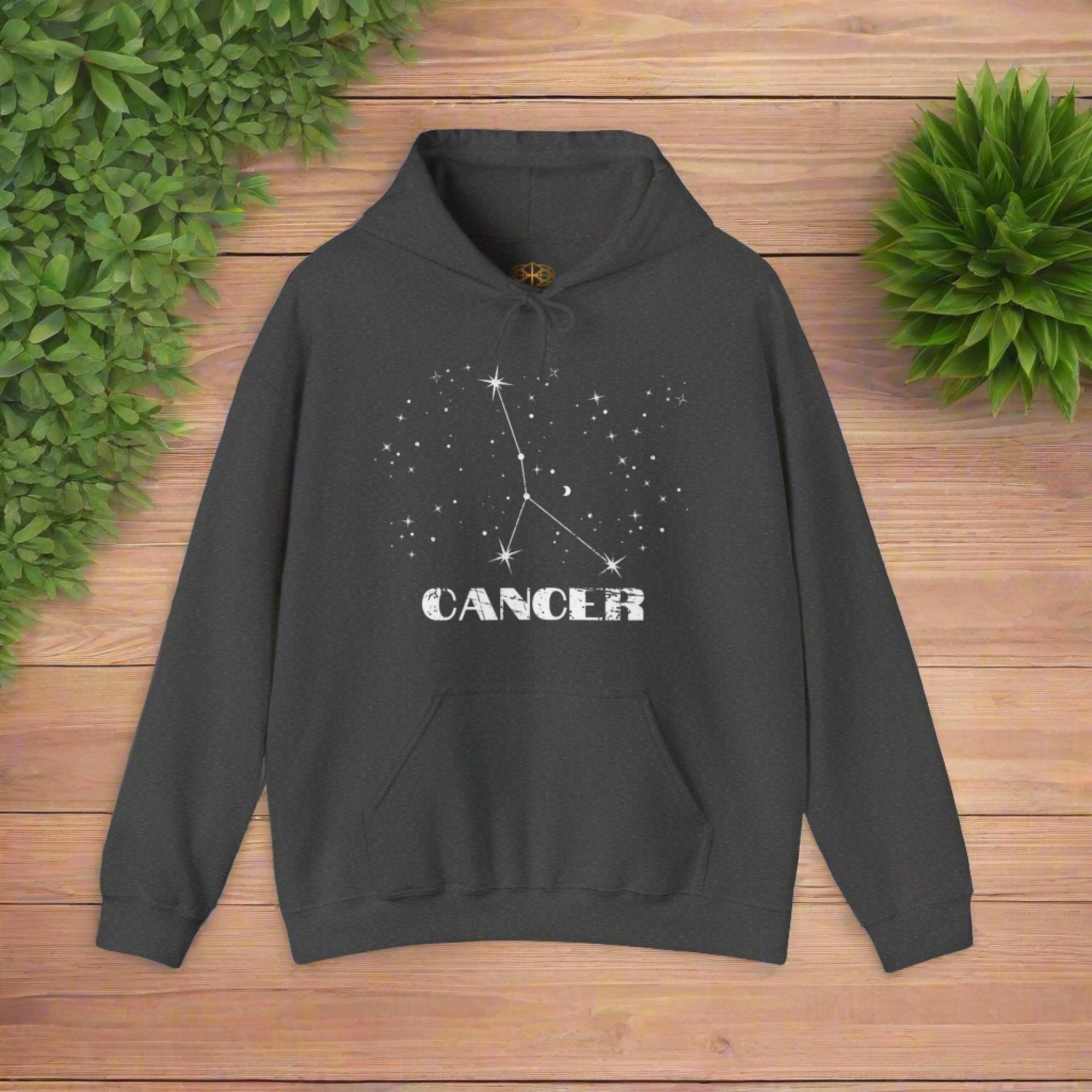 Astrology: Cancer Hoodie | Coded to Increase Intuition