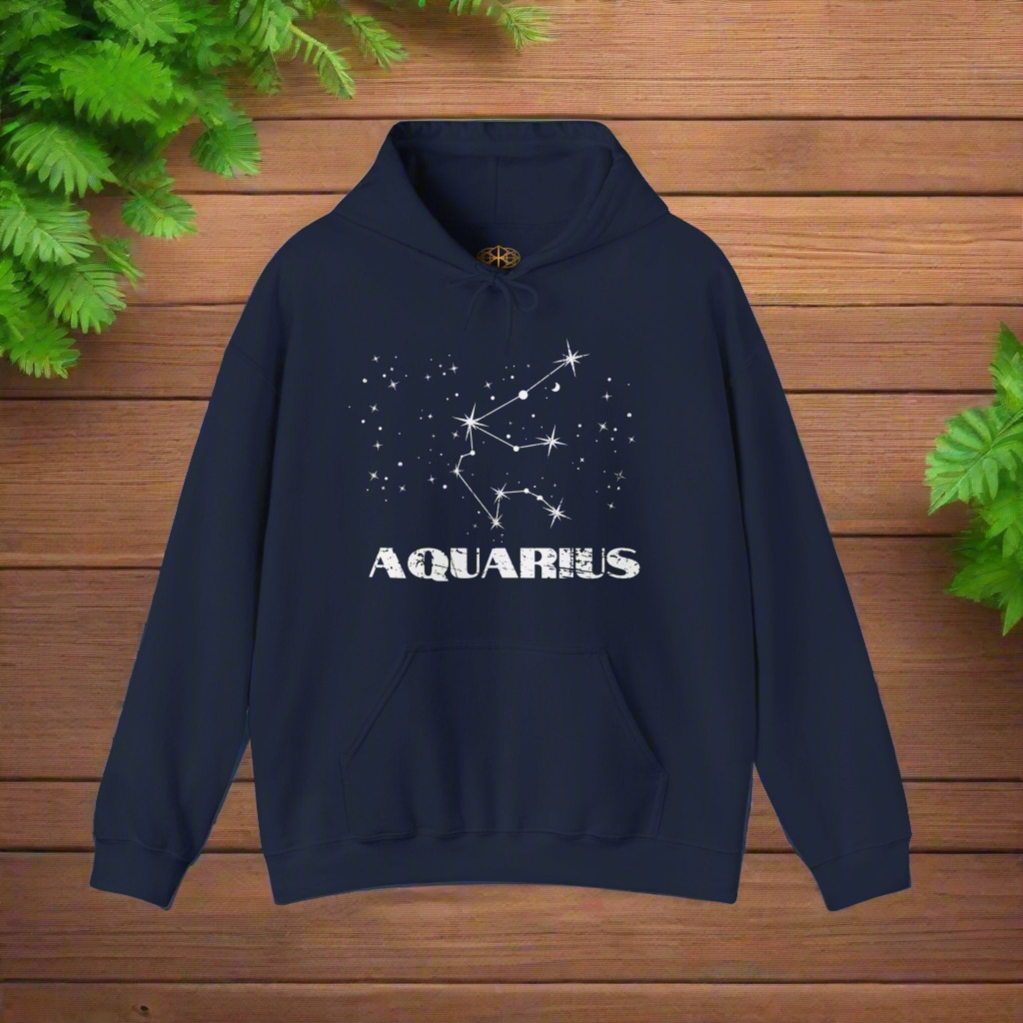 Astrology: Aquarius Hoodie | Coded to Increase Intuition