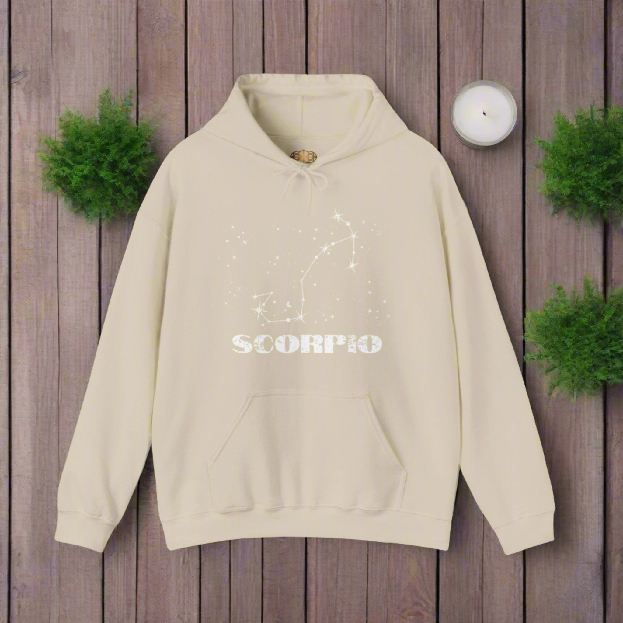 Astrology: Scorpio Hoodie | Coded to Increase Intuition