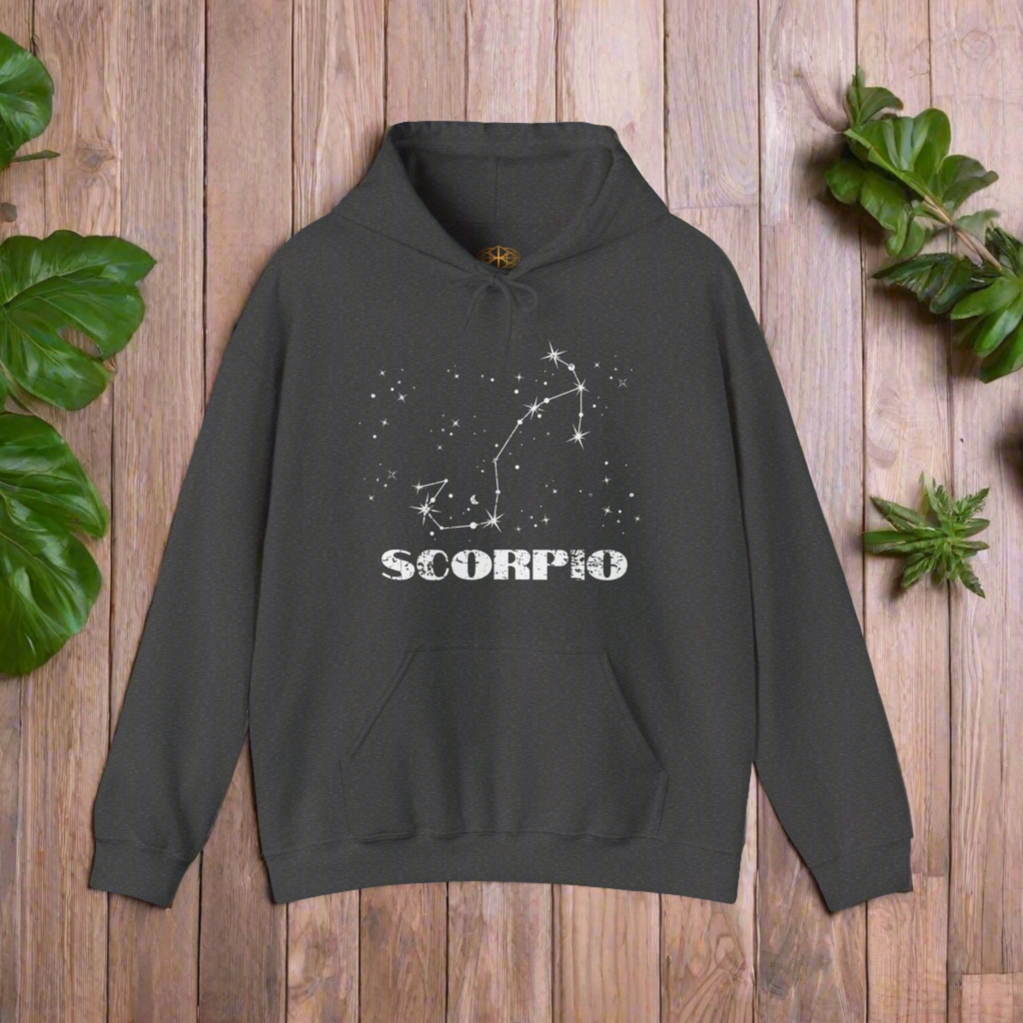 Astrology: Scorpio Hoodie | Coded to Increase Intuition