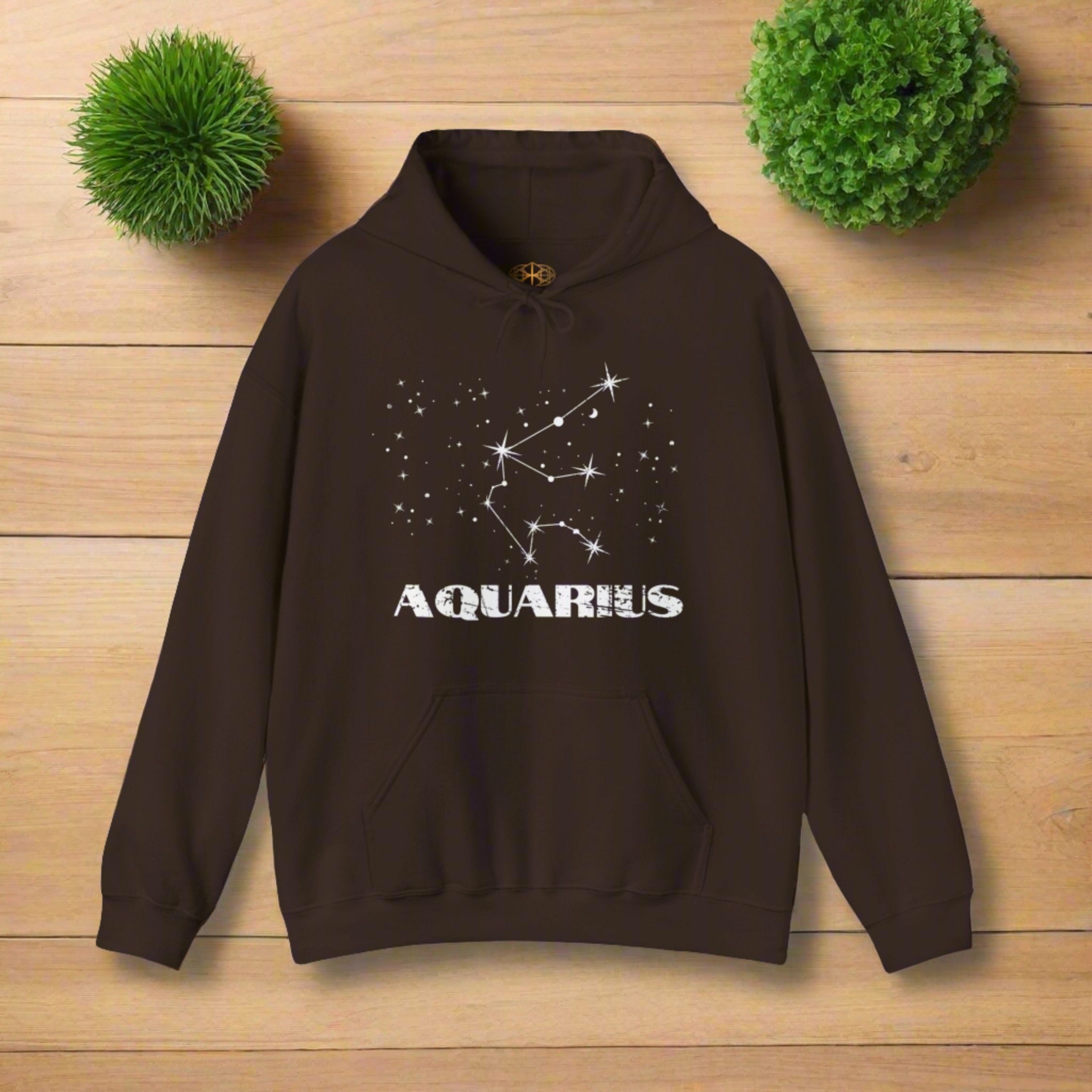 Astrology: Aquarius Hoodie | Coded to Increase Intuition