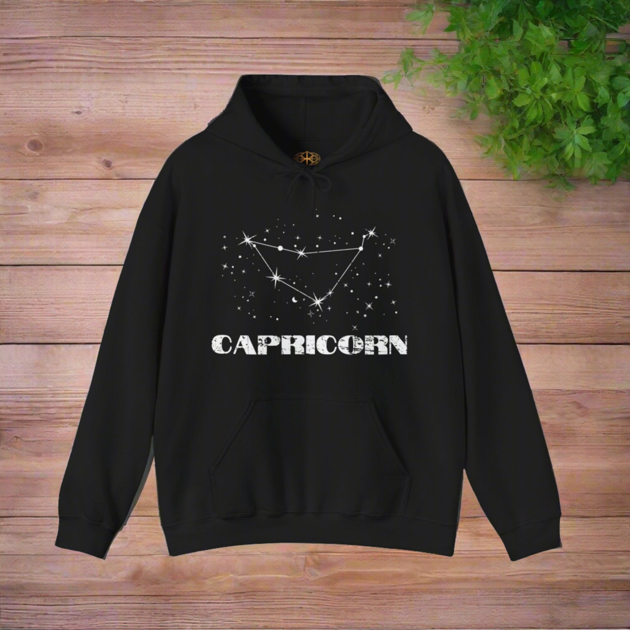 Astrology: Capricorn Hoodie | Coded to Increase Intuition