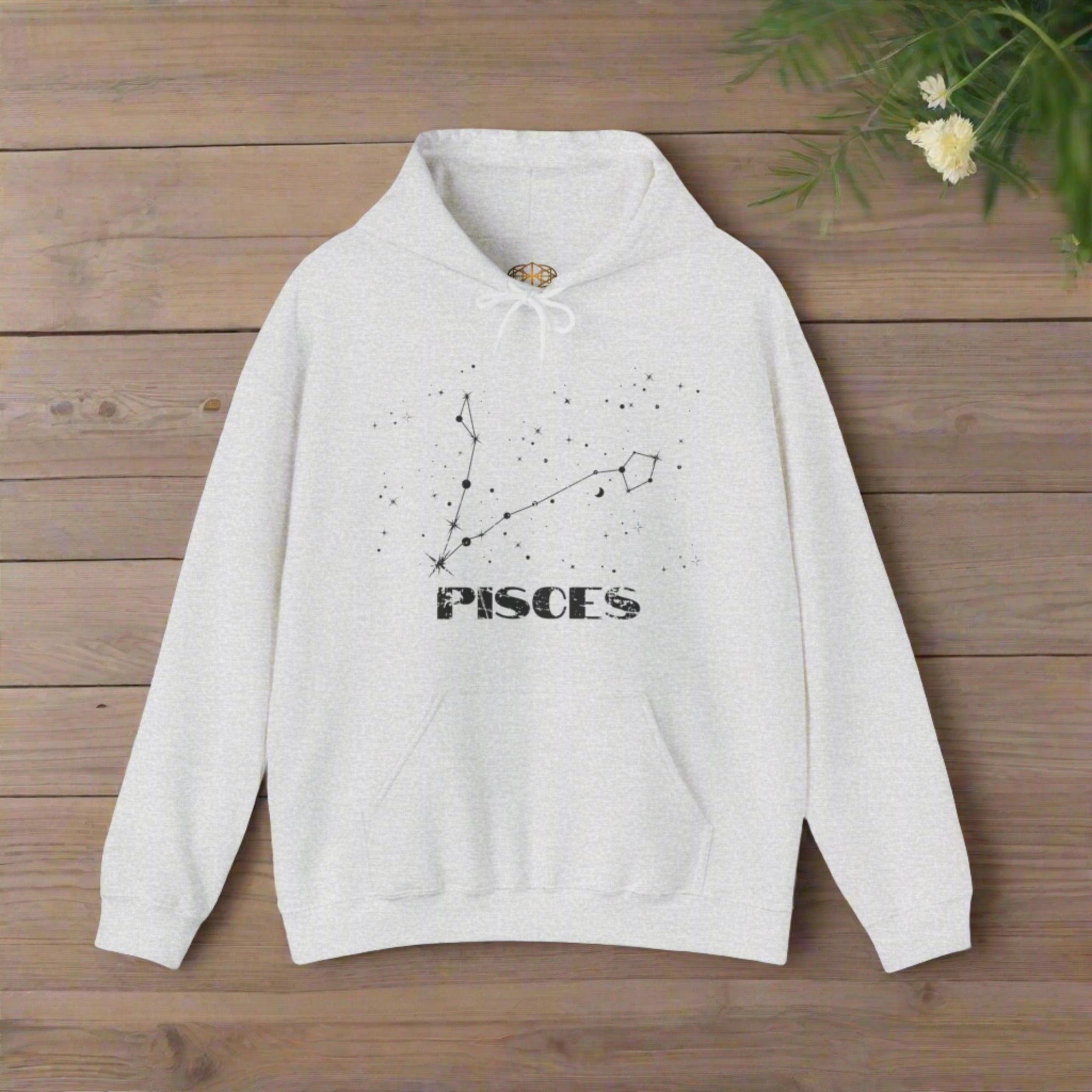 Astrology: Pisces Hoodie | Coded to Increase Intuition