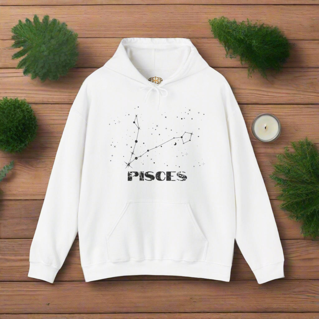Astrology: Pisces Hoodie | Coded to Increase Intuition