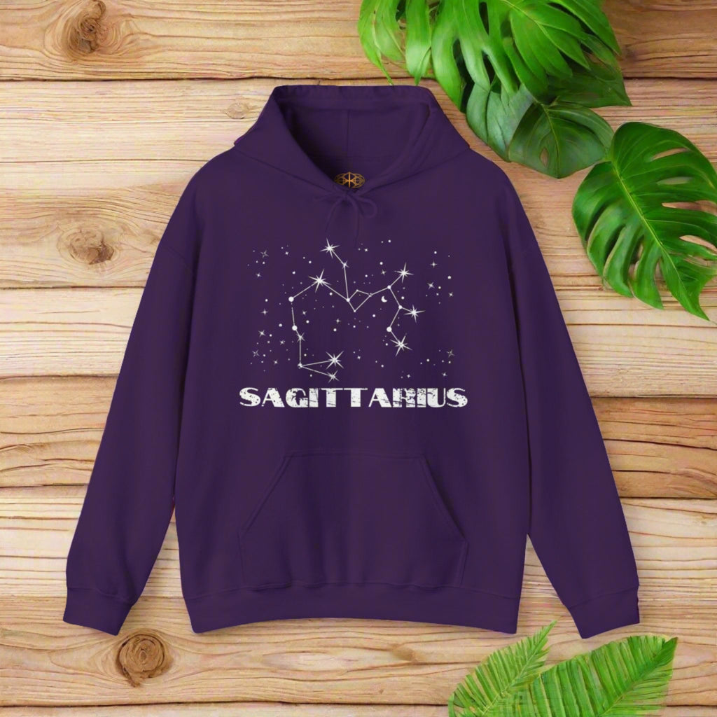 Astrology: Sagittarius Hoodie | Coded to Increase Intuition