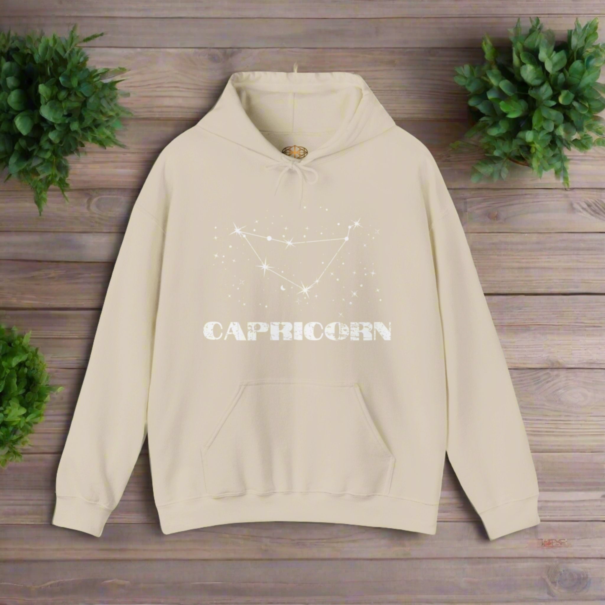 Astrology: Capricorn Hoodie | Coded to Increase Intuition