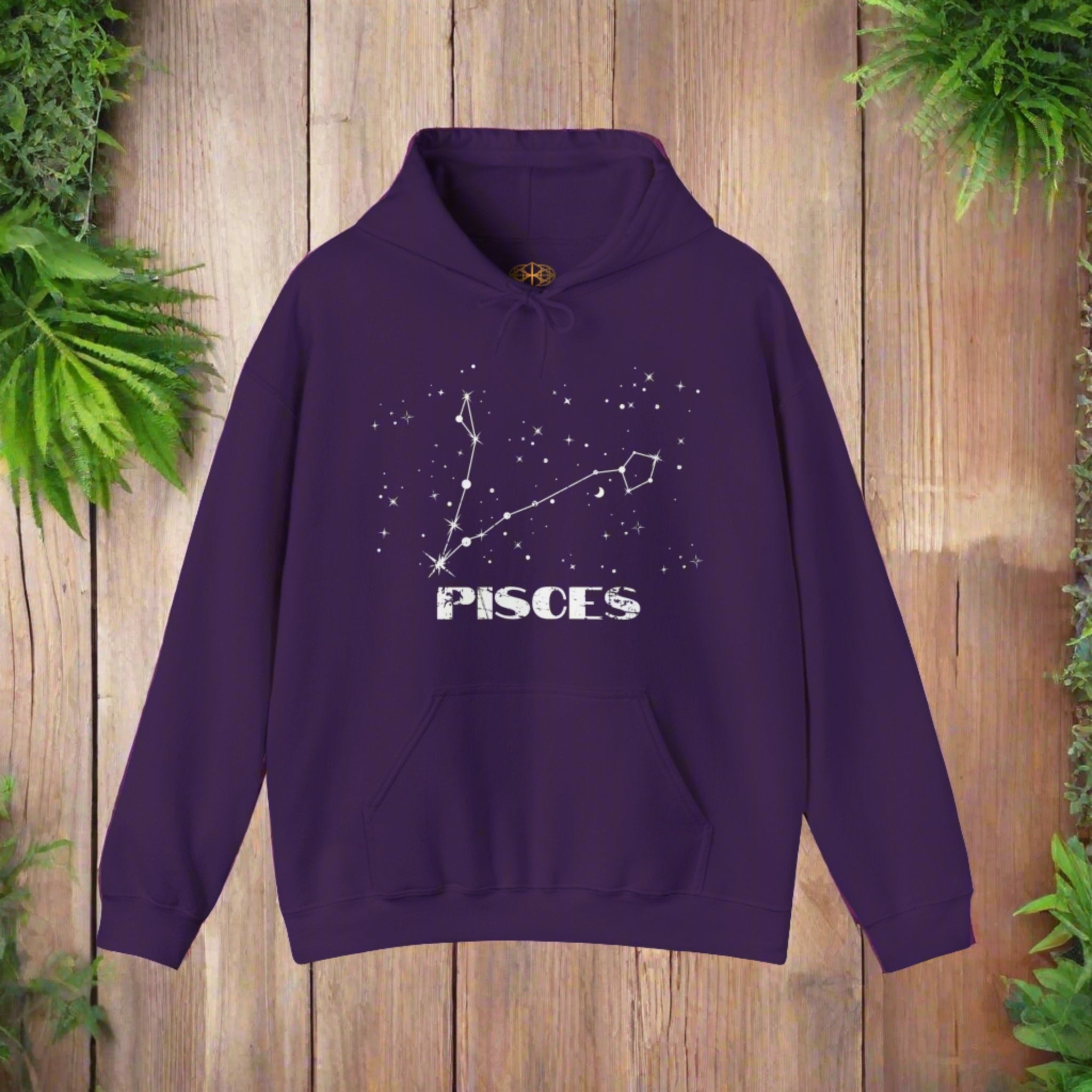 Astrology: Pisces Hoodie | Coded to Increase Intuition