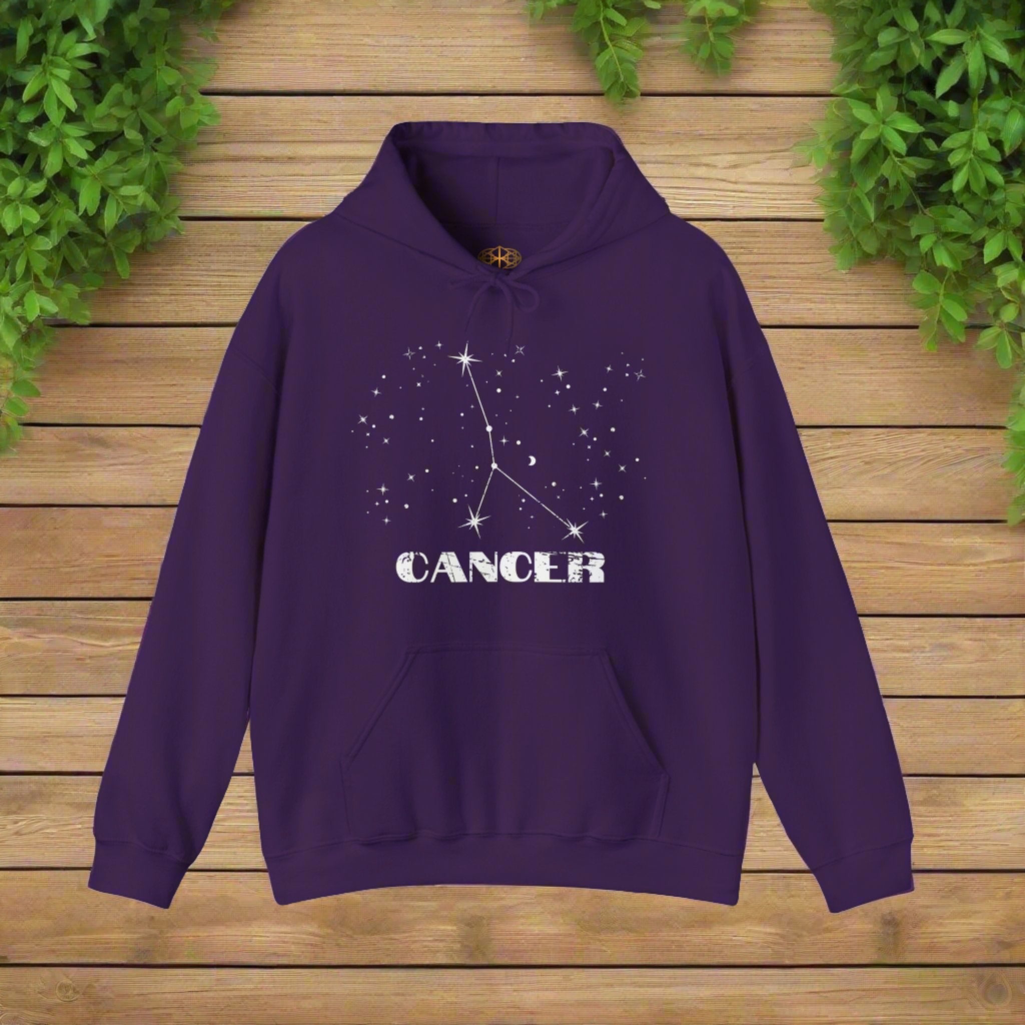 Astrology: Cancer Hoodie | Coded to Increase Intuition