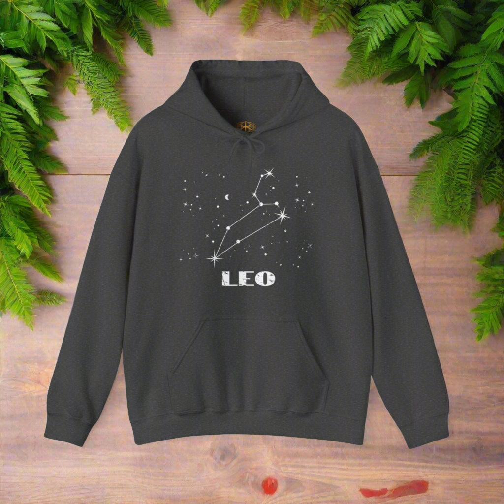 Astrology: Leo Hoodie | Coded to Increase Intuition