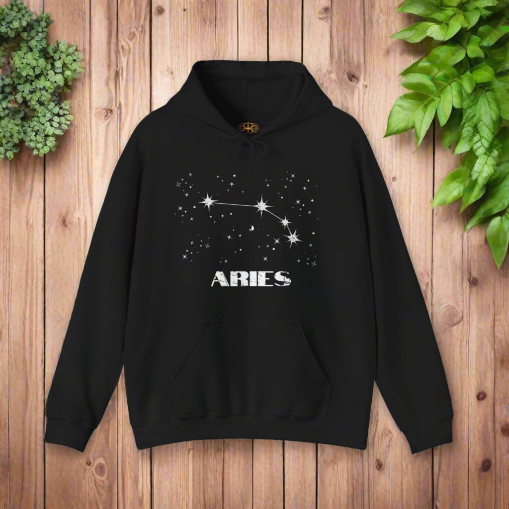 Astrology: Aries Hoodie | Coded to Increase Intuition