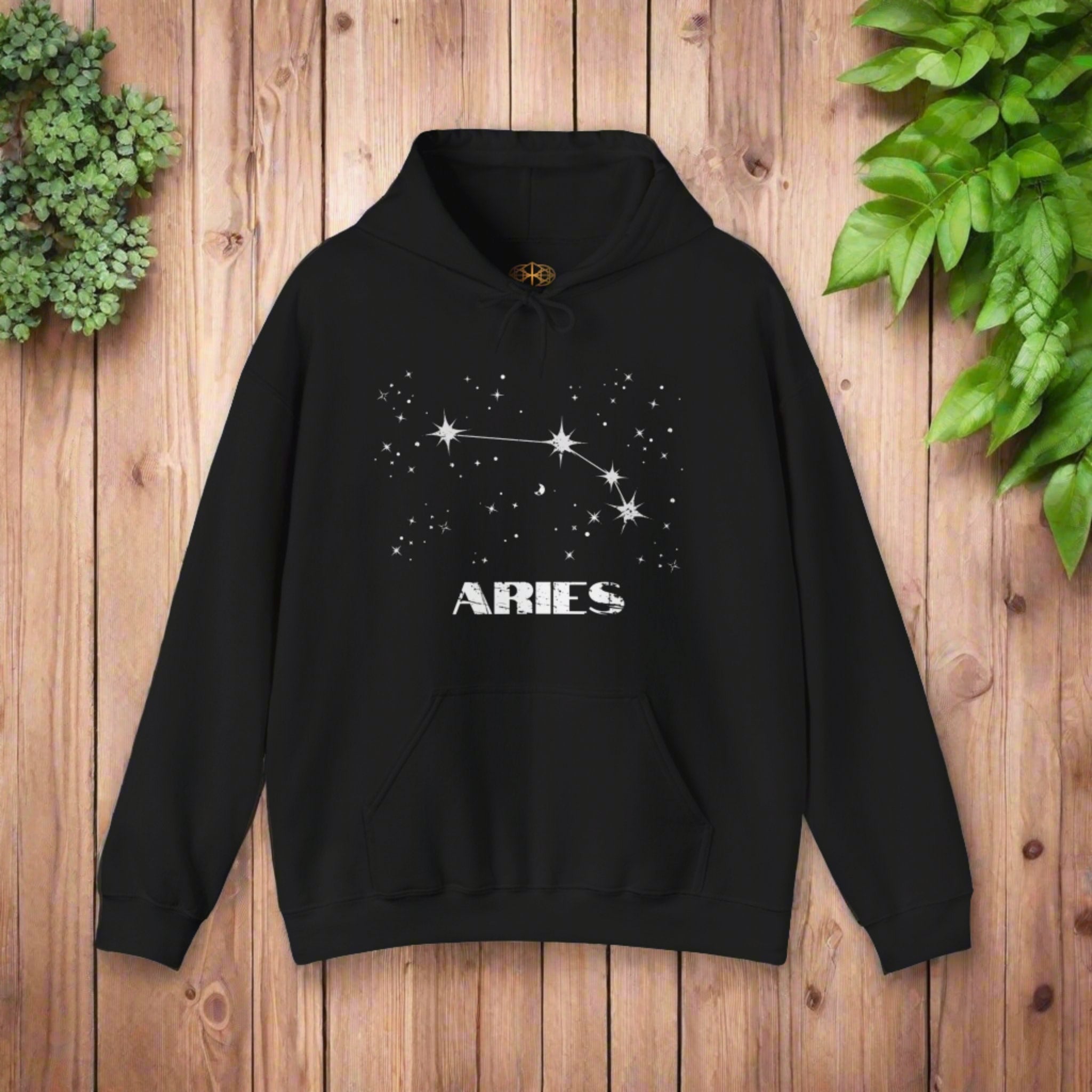Astrology: Aries Hoodie | Coded to Increase Intuition