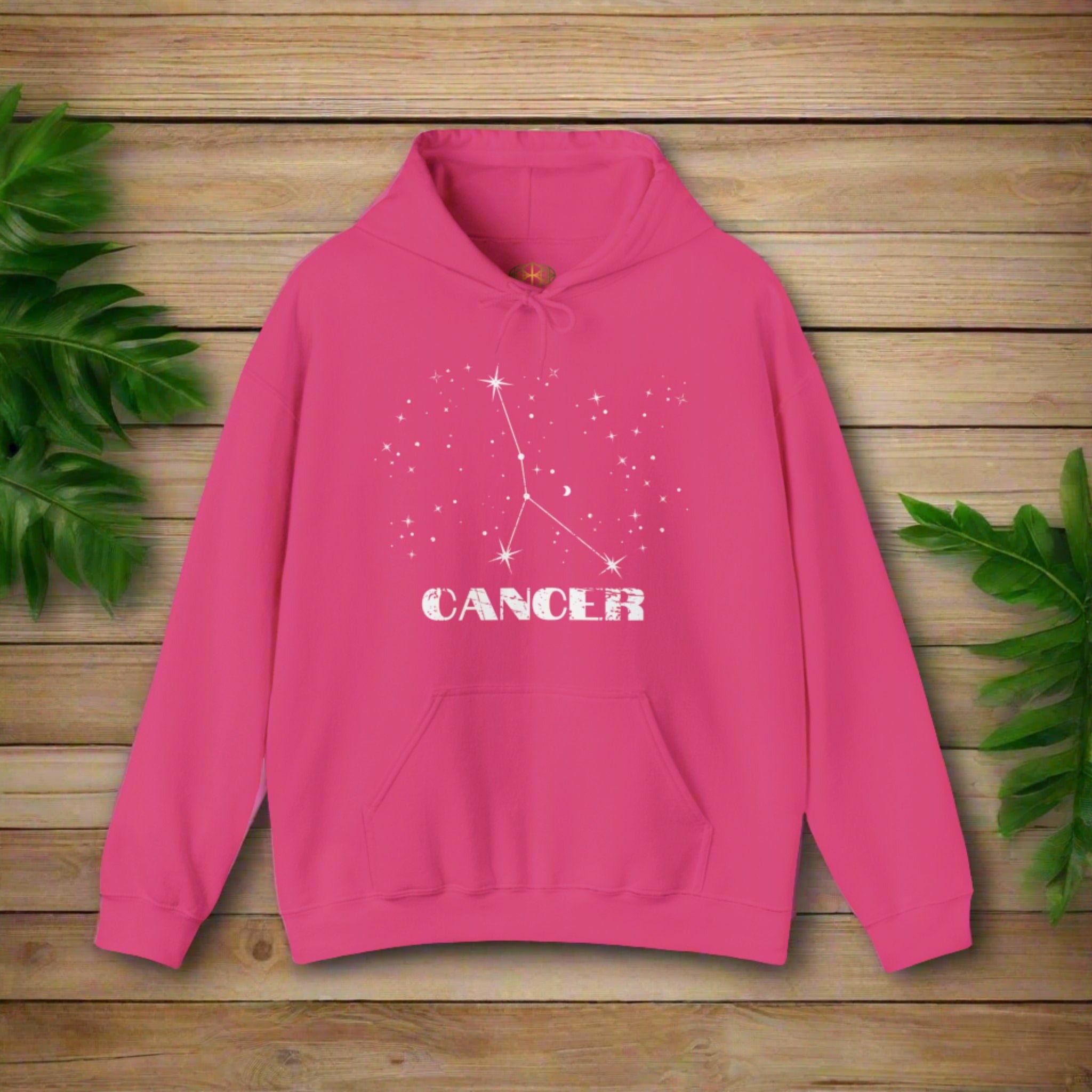 Astrology: Cancer Hoodie | Coded to Increase Intuition