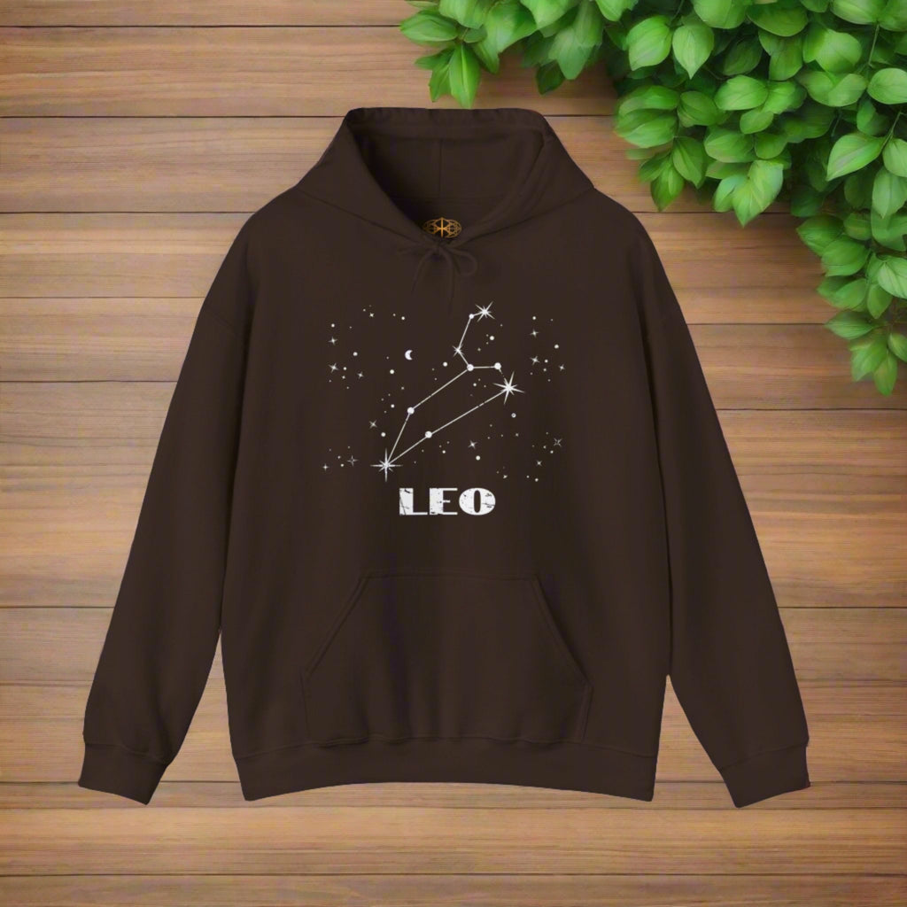 Astrology: Leo Hoodie | Coded to Increase Intuition