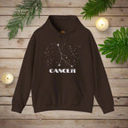 Astrology: Cancer Hoodie | Coded to Increase Intuition