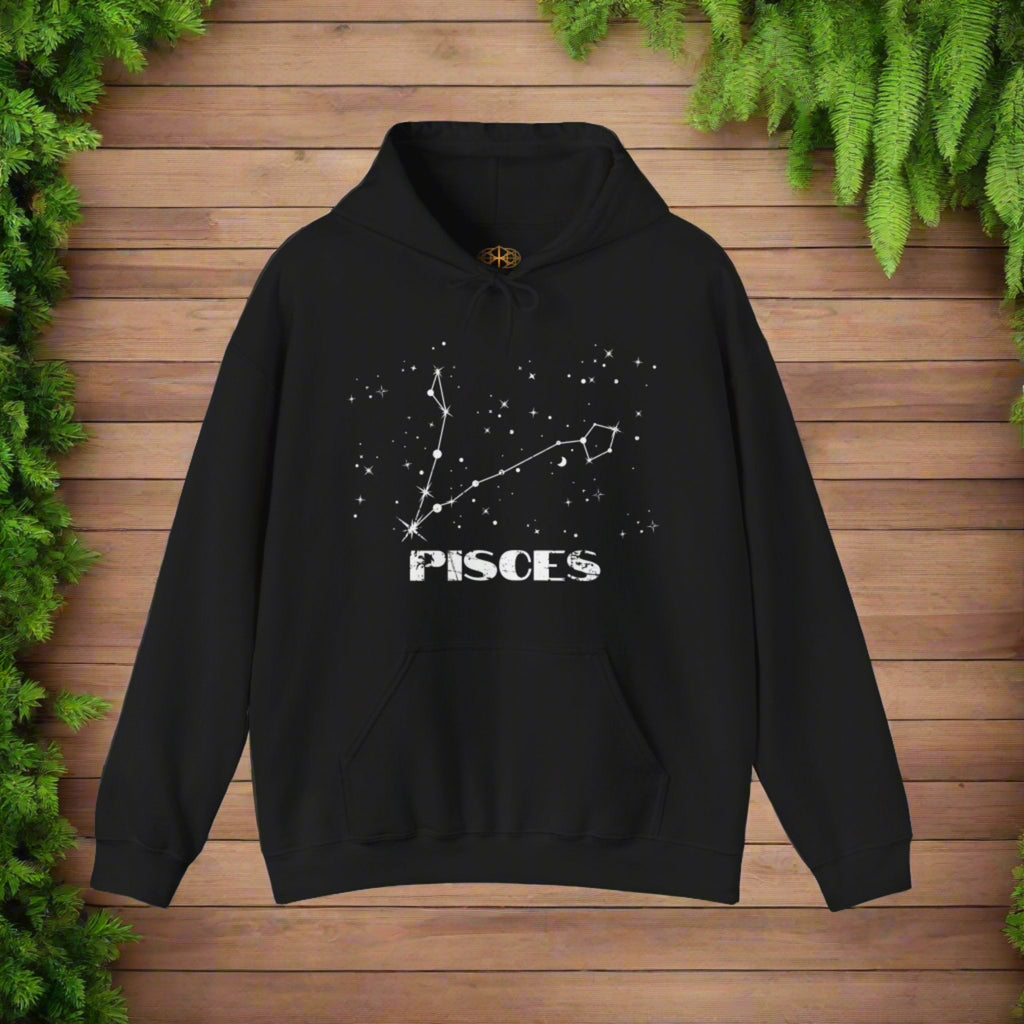 Astrology: Pisces Hoodie | Coded to Increase Intuition
