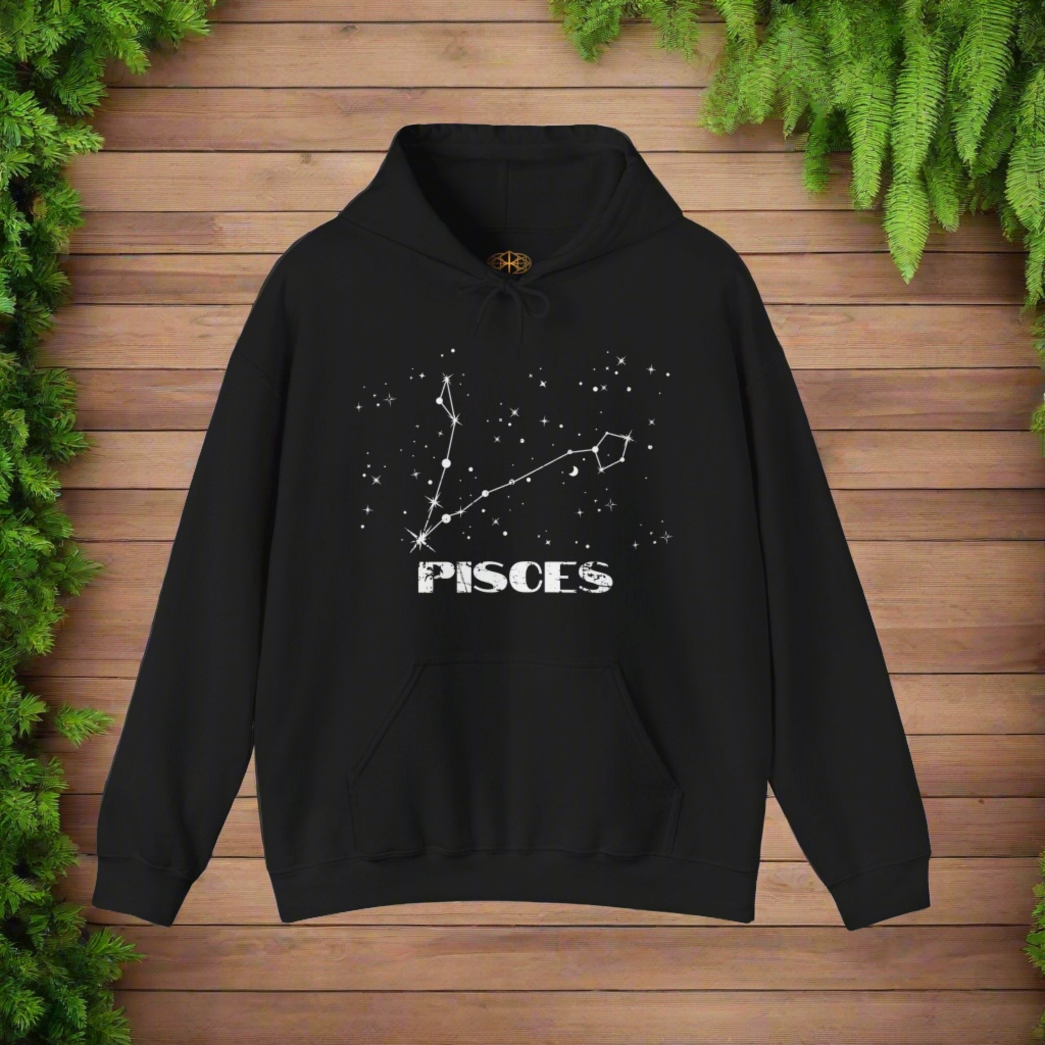 Astrology: Pisces Hoodie | Coded to Increase Intuition