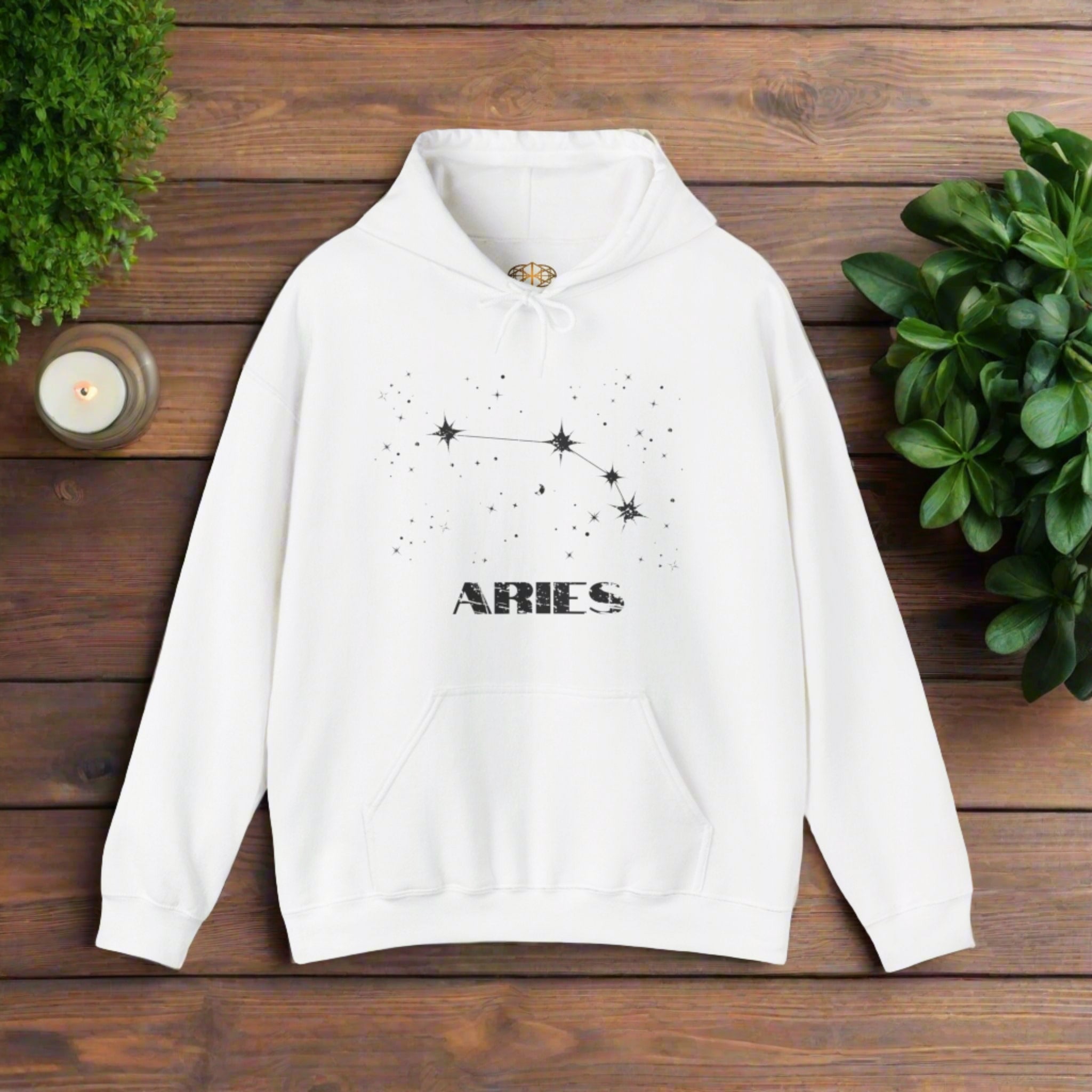 Astrology: Aries Hoodie | Coded to Increase Intuition