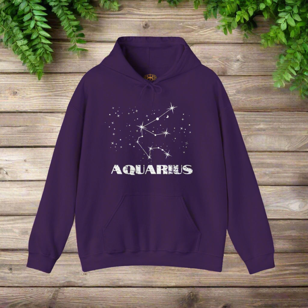 Astrology: Aquarius Hoodie | Coded to Increase Intuition