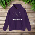 Astrology: Aquarius Hoodie | Coded to Increase Intuition
