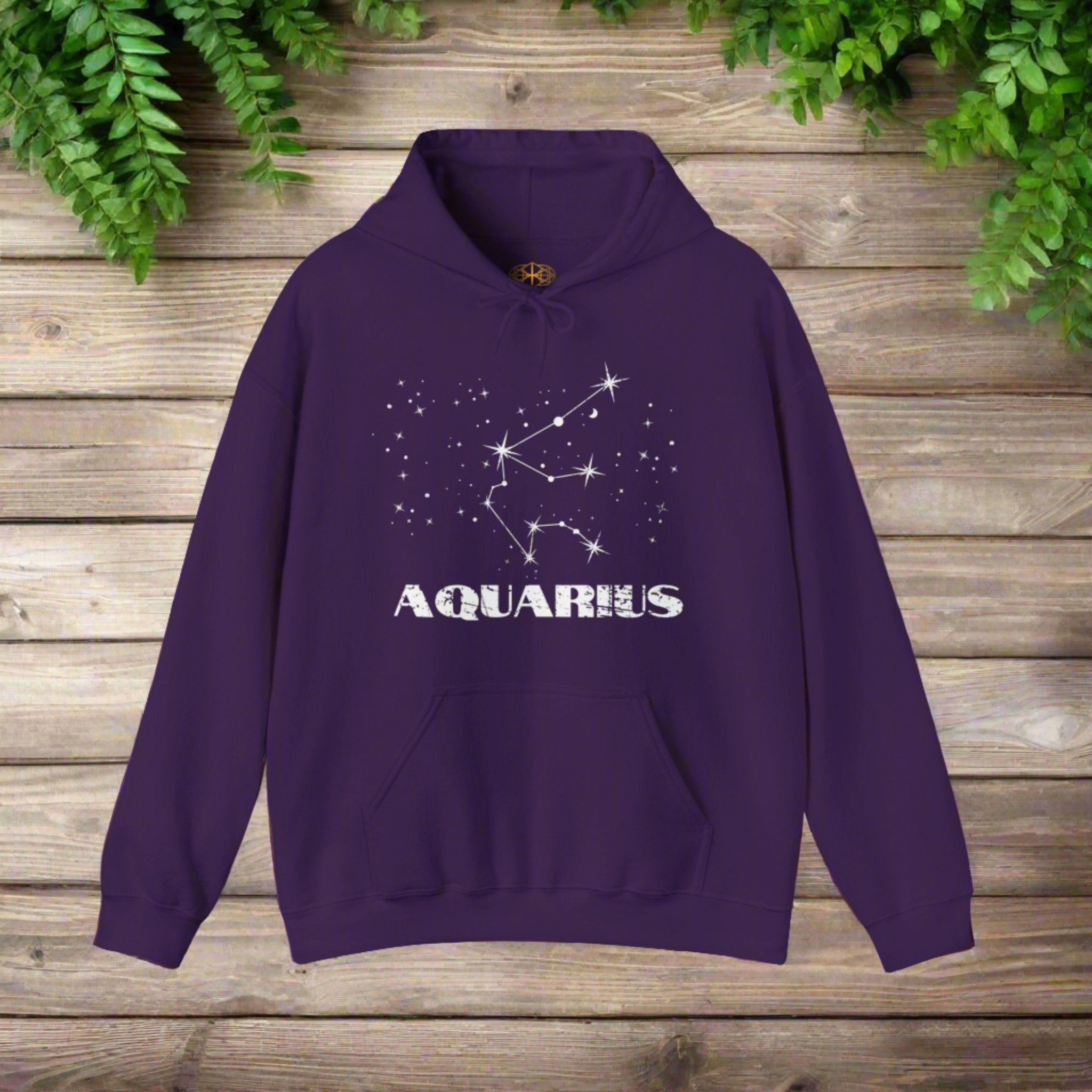 Astrology: Aquarius Hoodie | Coded to Increase Intuition
