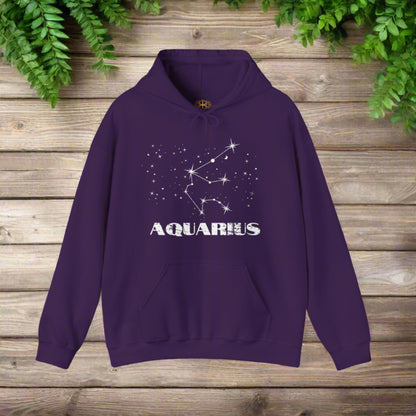 Astrology: Aquarius Hoodie