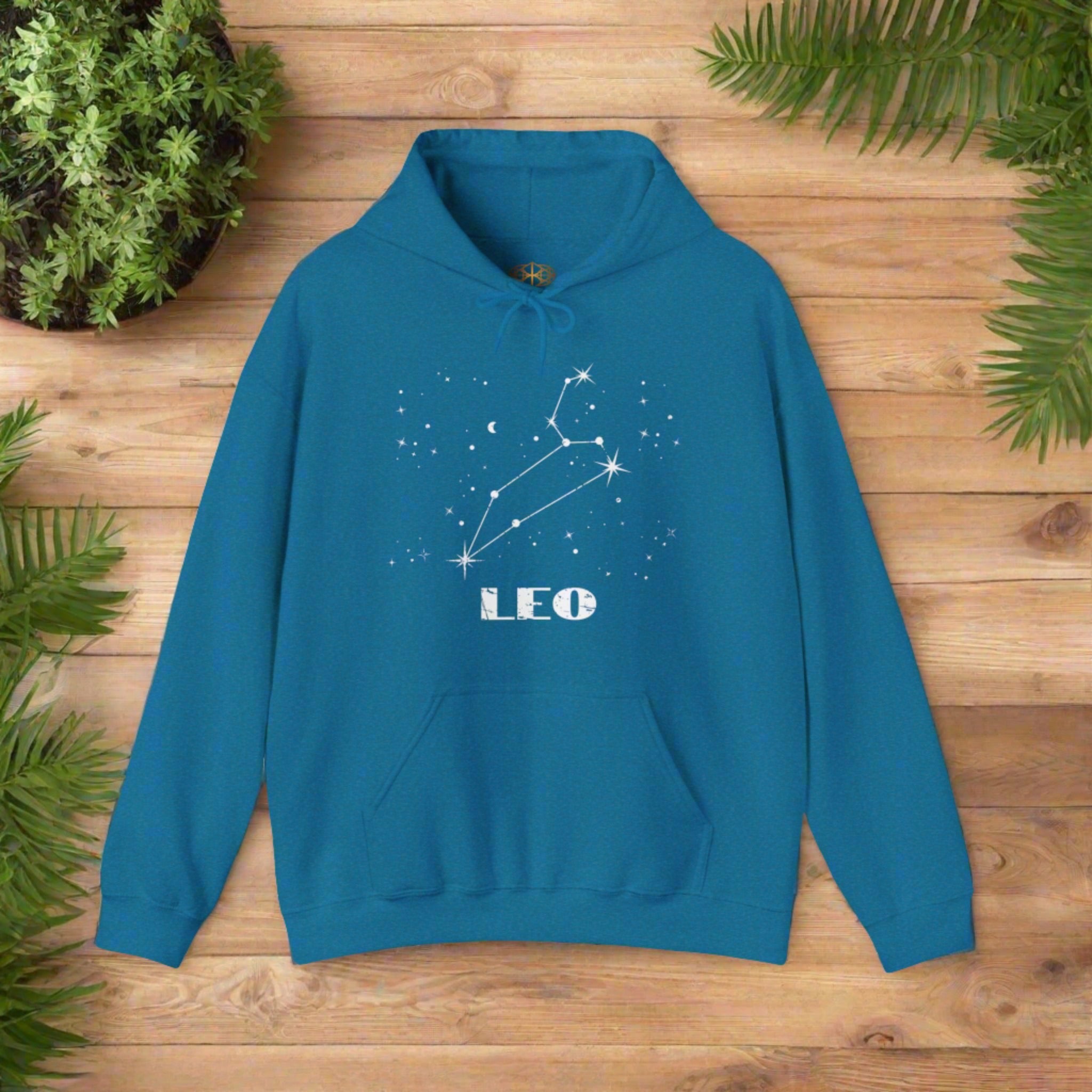 Astrology: Leo Hoodie | Coded to Increase Intuition
