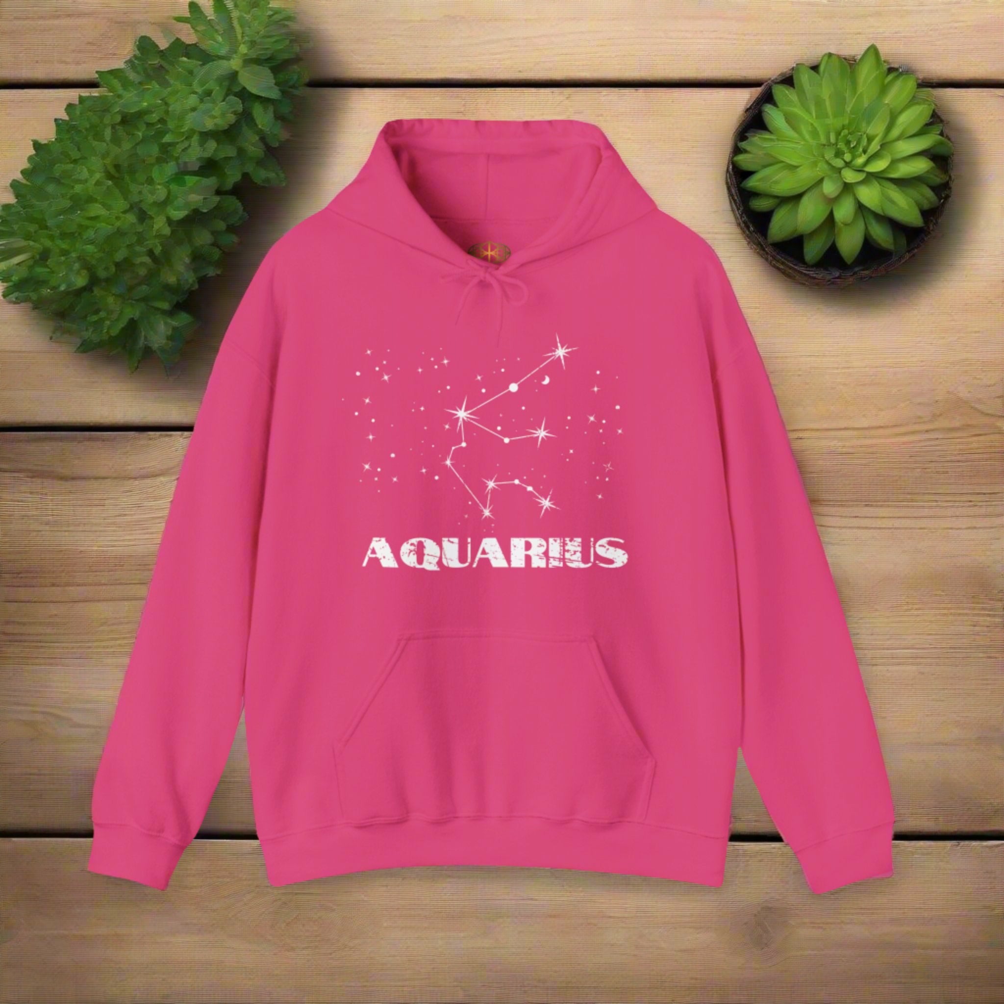 Astrology: Aquarius Hoodie | Coded to Increase Intuition