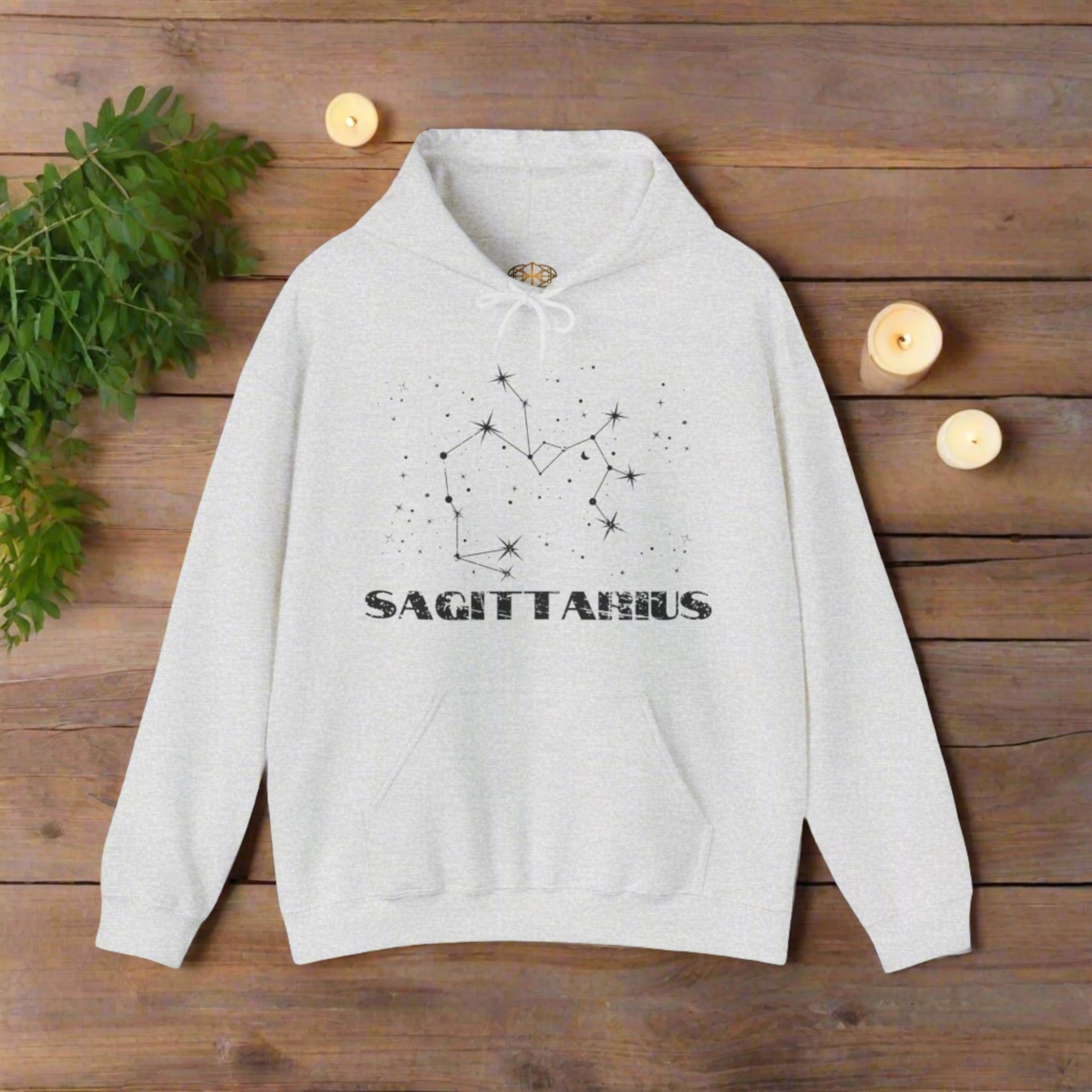 Astrology: Sagittarius Hoodie | Coded to Increase Intuition
