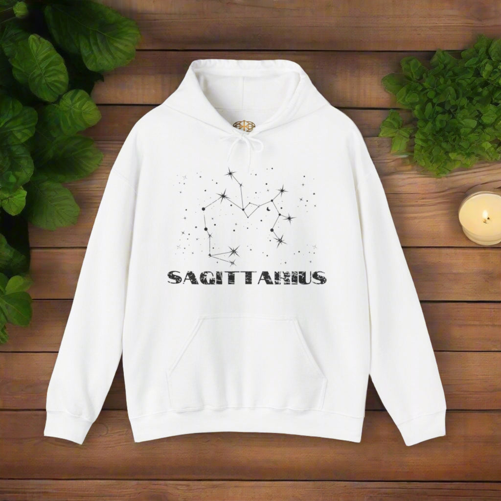 Astrology: Sagittarius Hoodie | Coded to Increase Intuition