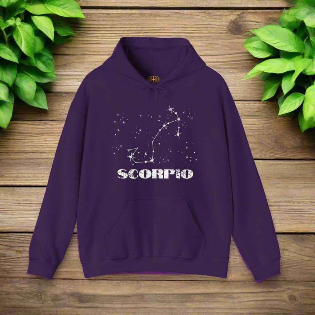 Astrology: Scorpio Hoodie | Coded to Increase Intuition