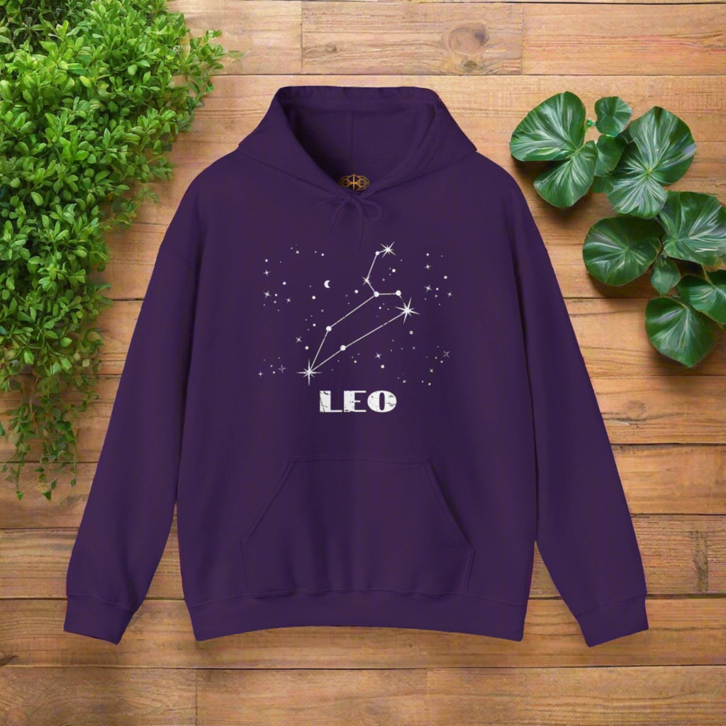 Astrology: Leo Hoodie | Coded to Increase Intuition