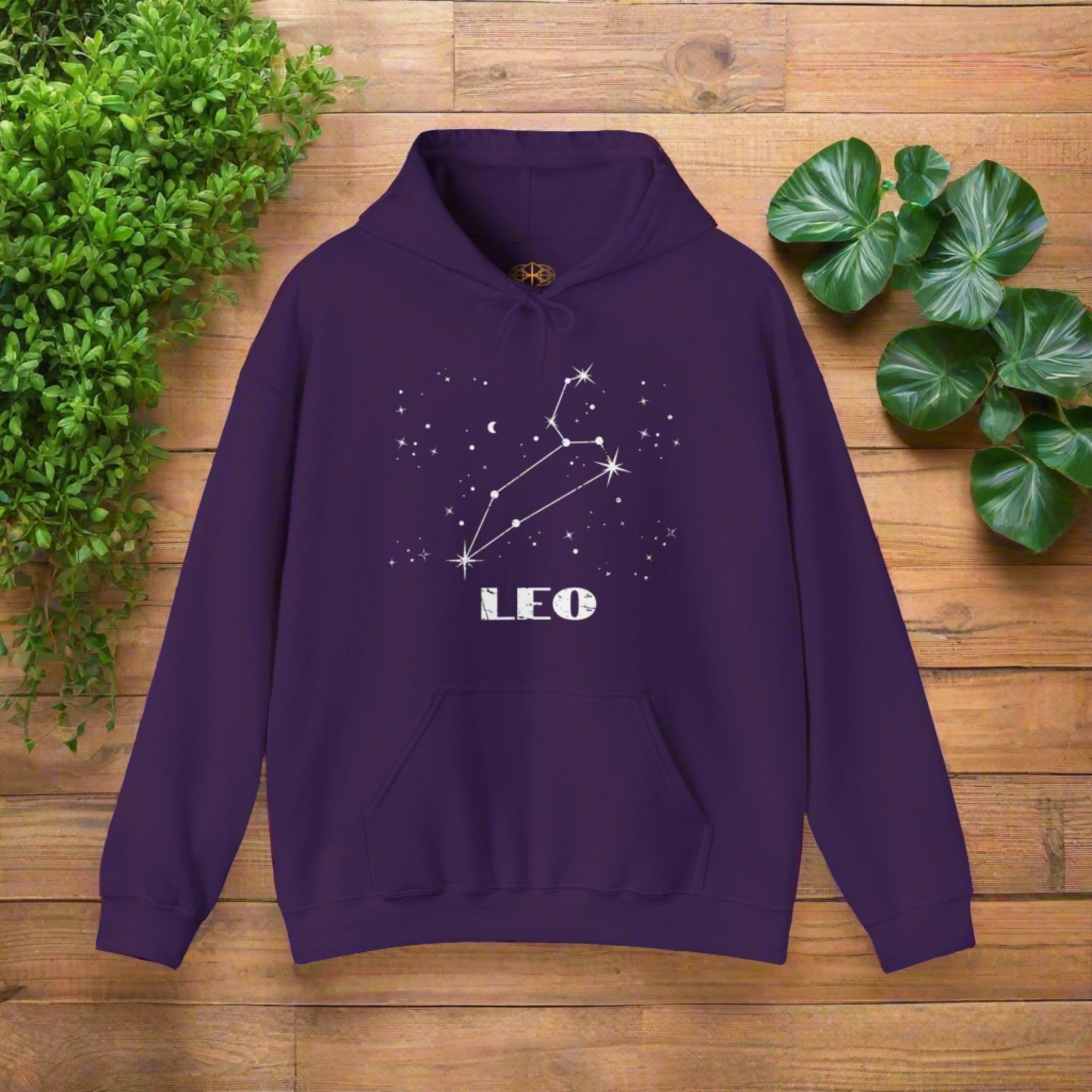 Astrology: Leo Hoodie | Coded to Increase Intuition