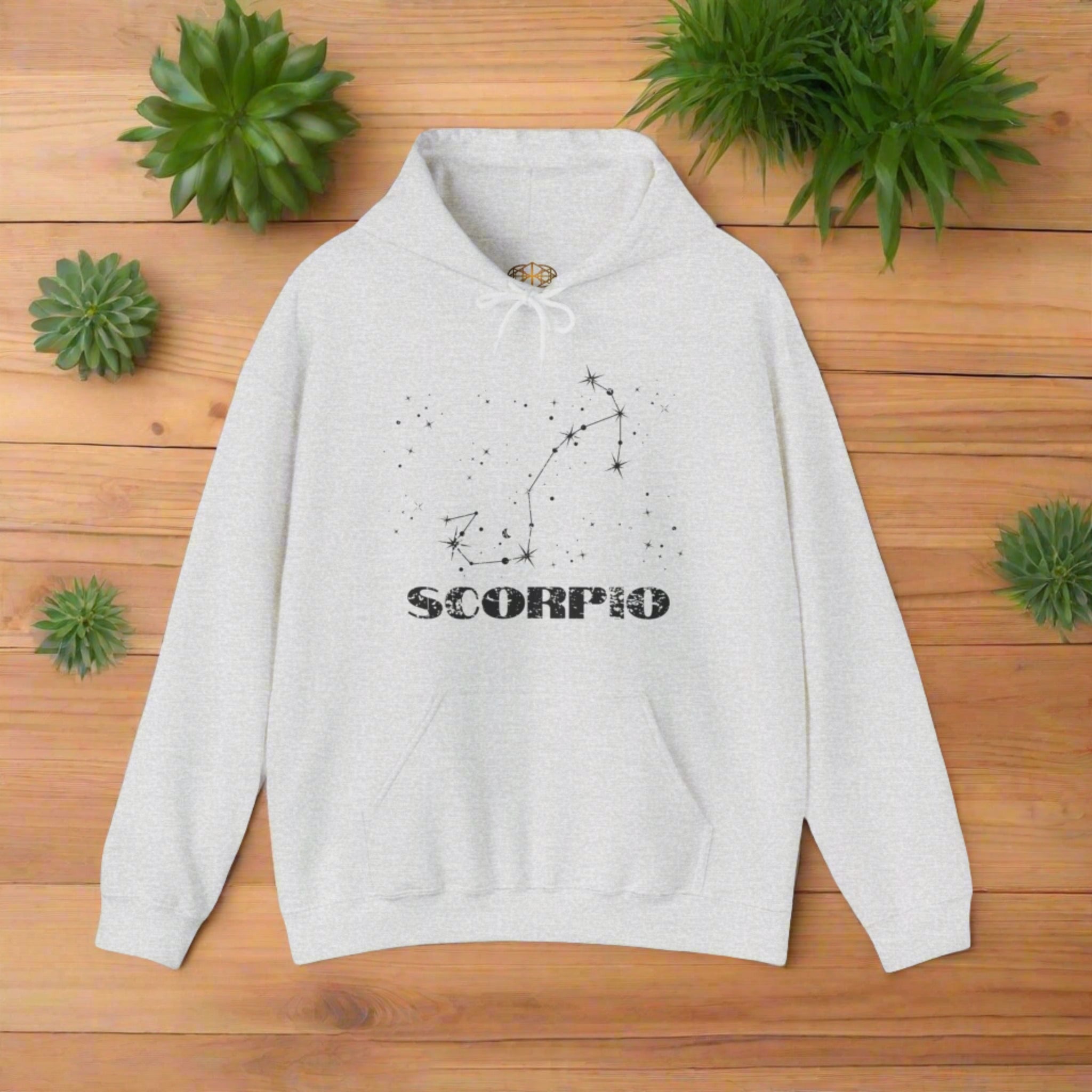 Astrology: Scorpio Hoodie | Coded to Increase Intuition