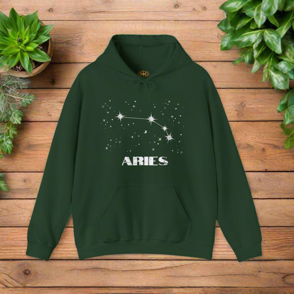 Astrology: Aries Hoodie | Coded to Increase Intuition