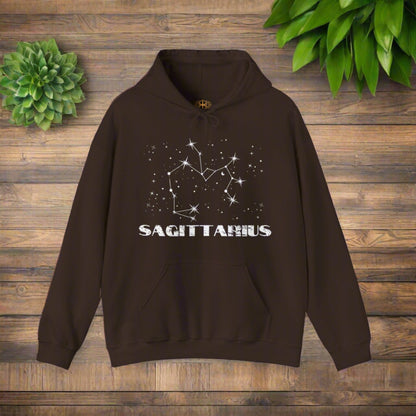 Astrology: Sagittarius Hoodie