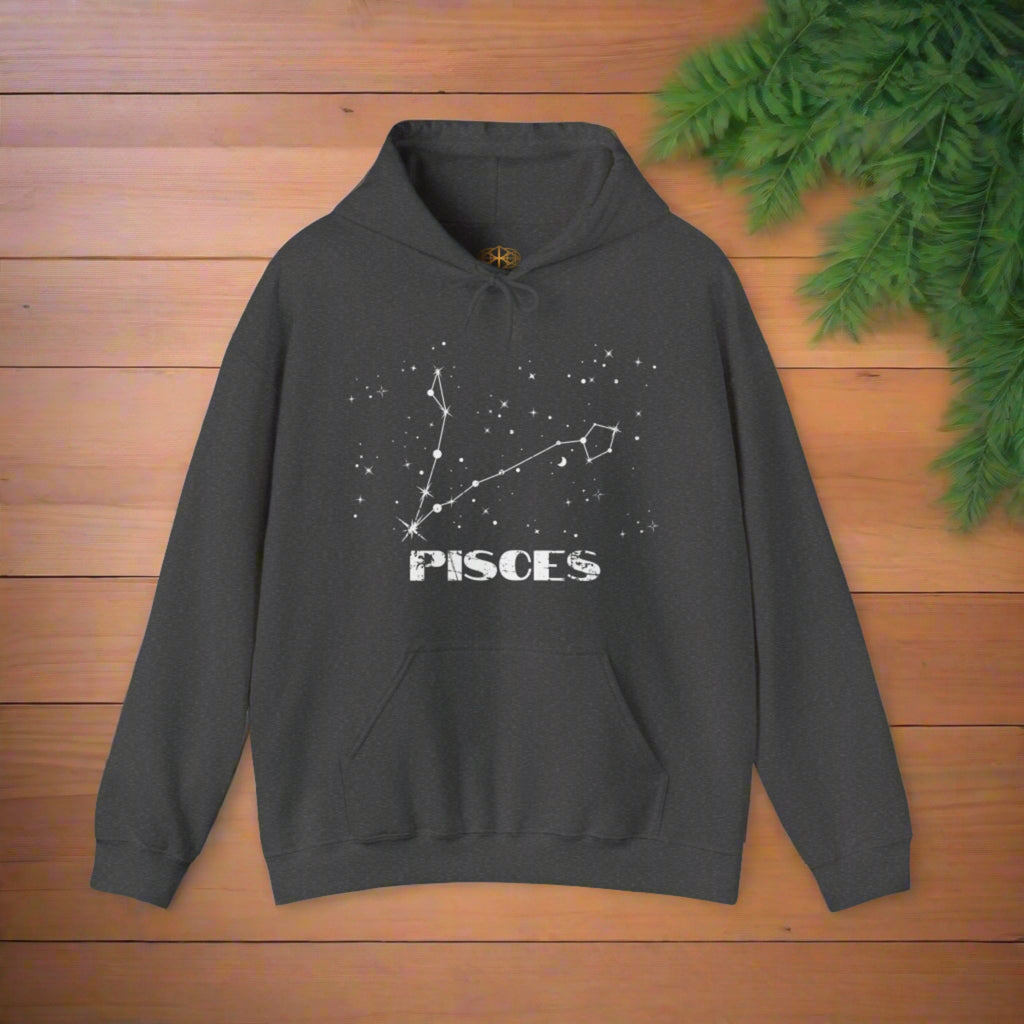 Astrology: Pisces Hoodie | Coded to Increase Intuition