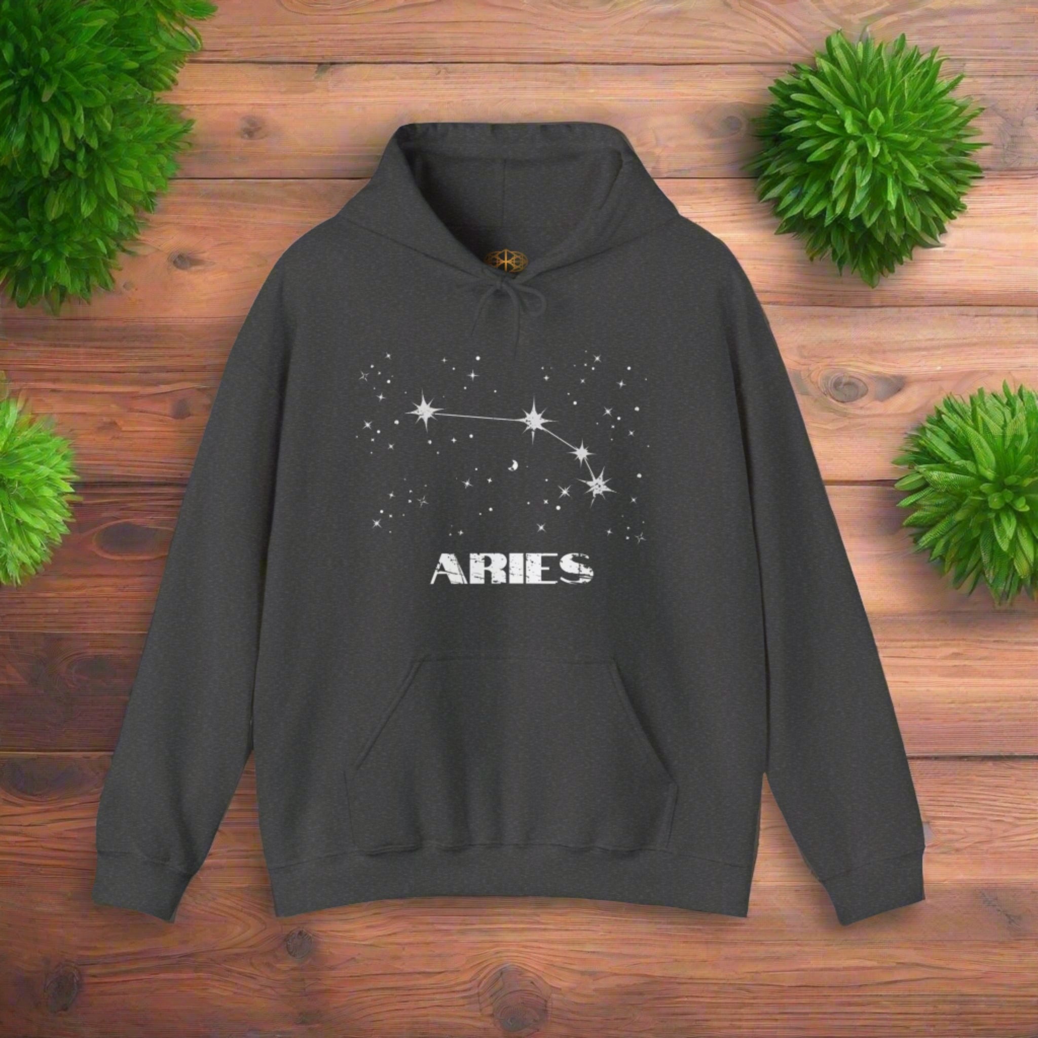Astrology: Aries Hoodie | Coded to Increase Intuition