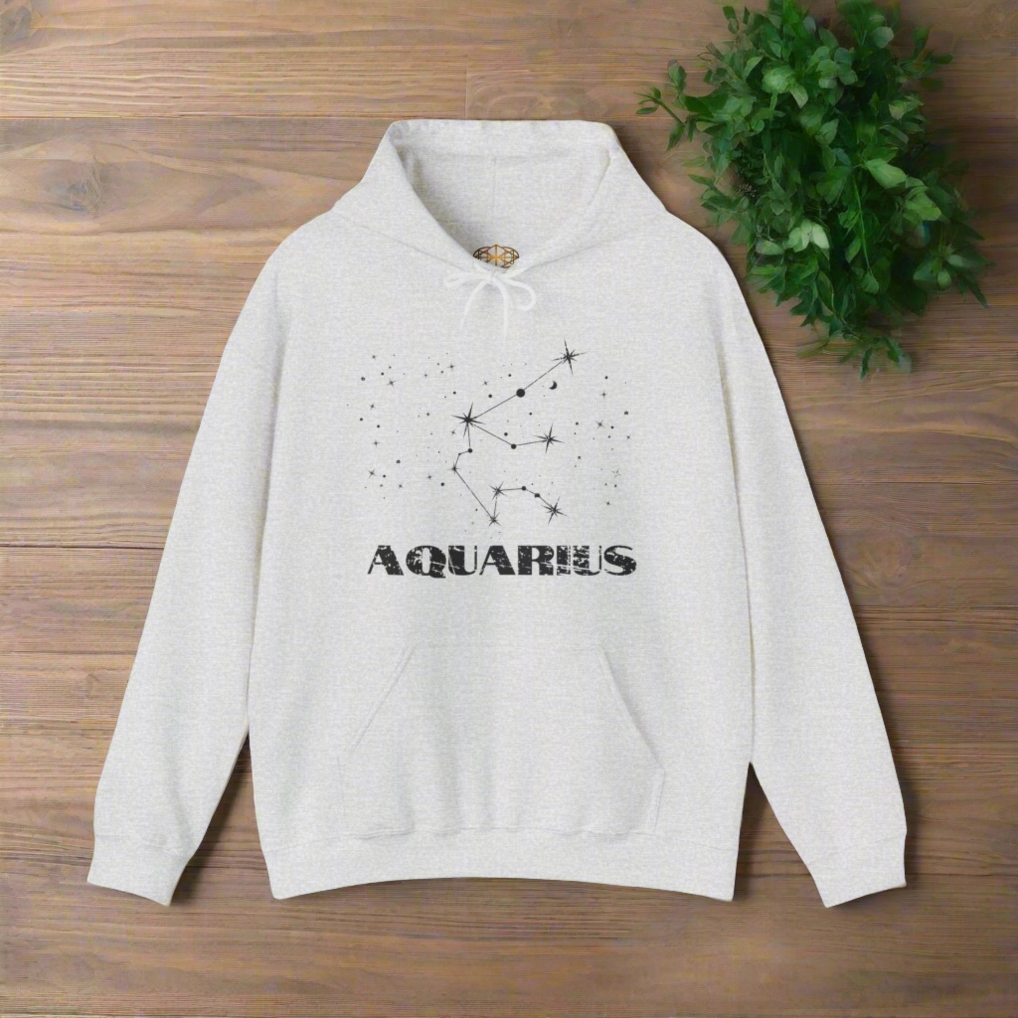 Astrology: Aquarius Hoodie | Coded to Increase Intuition