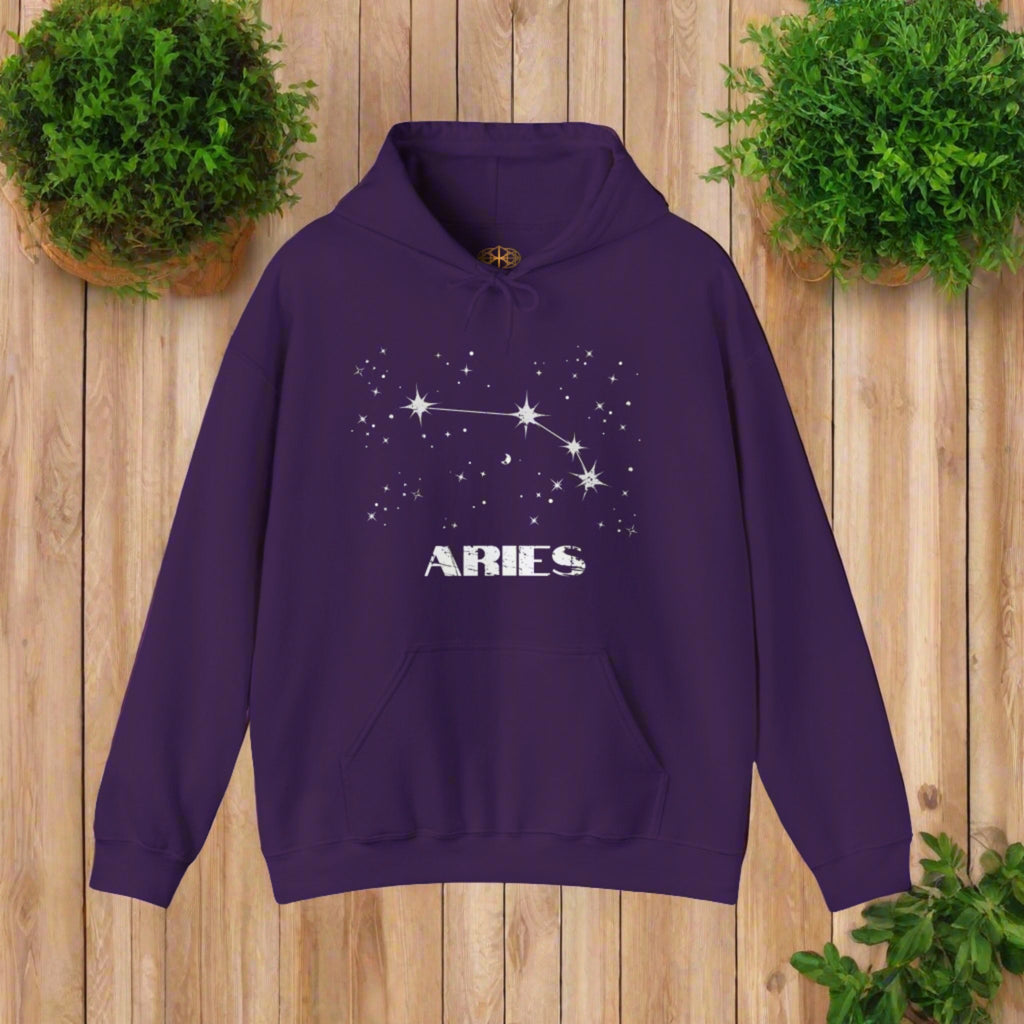 Astrology: Aries Hoodie | Coded to Increase Intuition