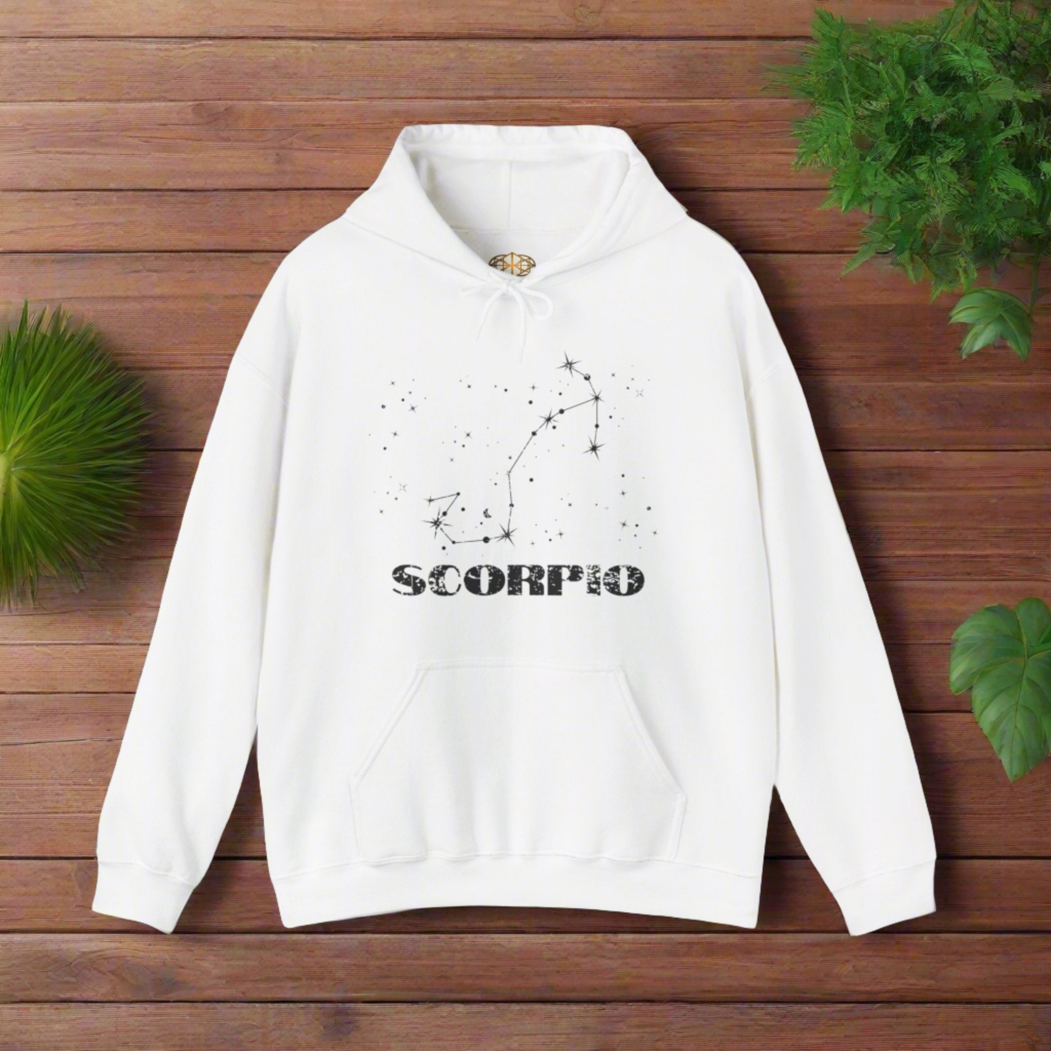 Astrology: Scorpio Hoodie | Coded to Increase Intuition
