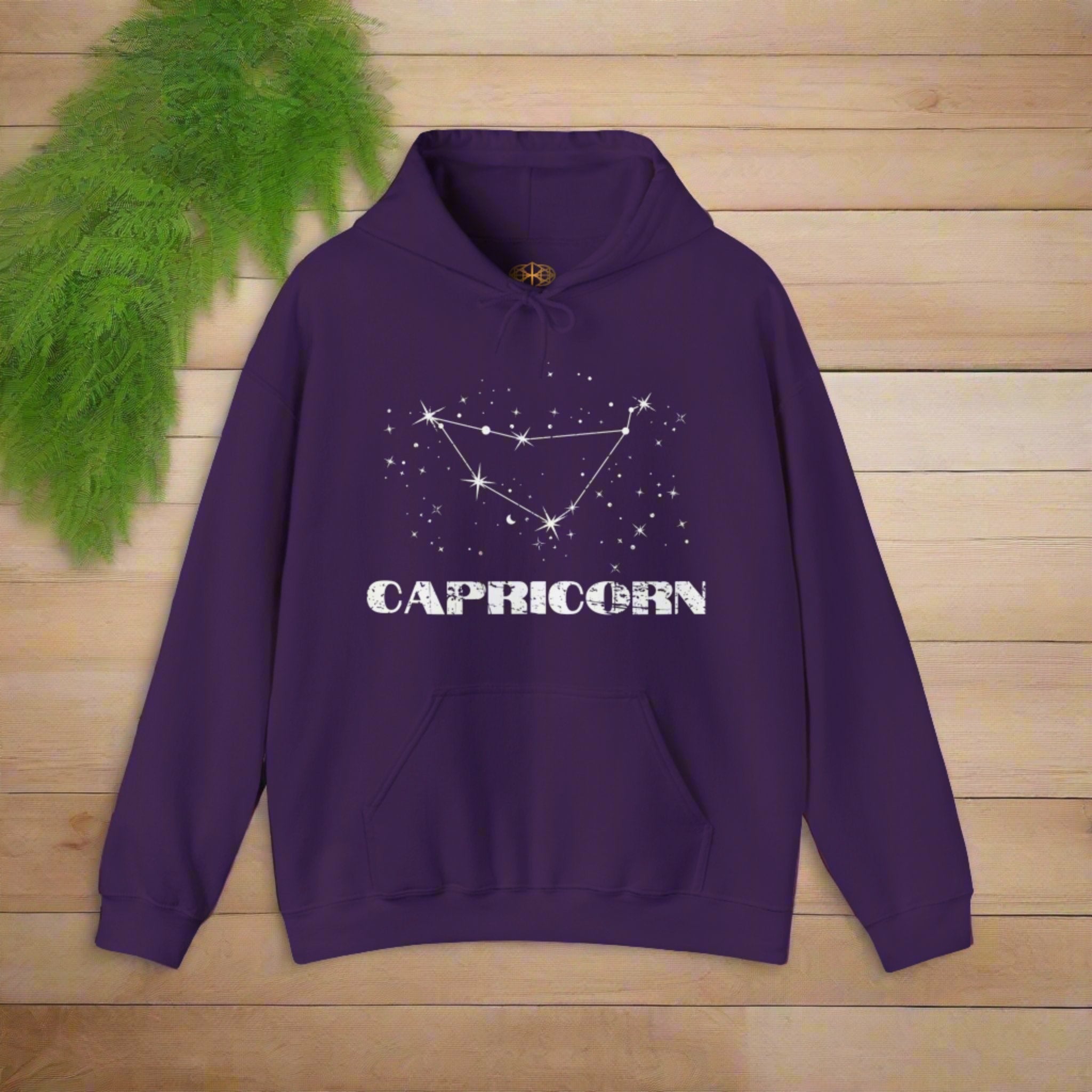 Astrology: Capricorn Hoodie | Coded to Increase Intuition
