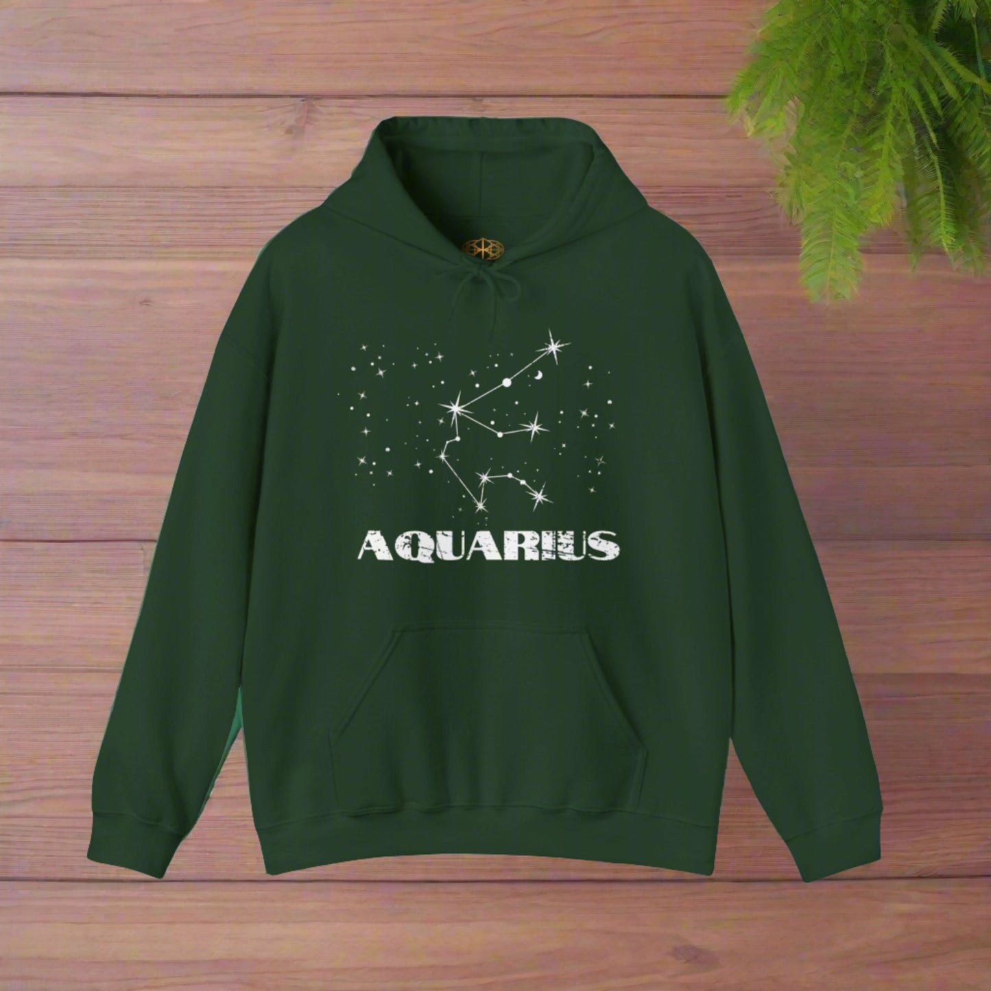 Astrology: Aquarius Hoodie