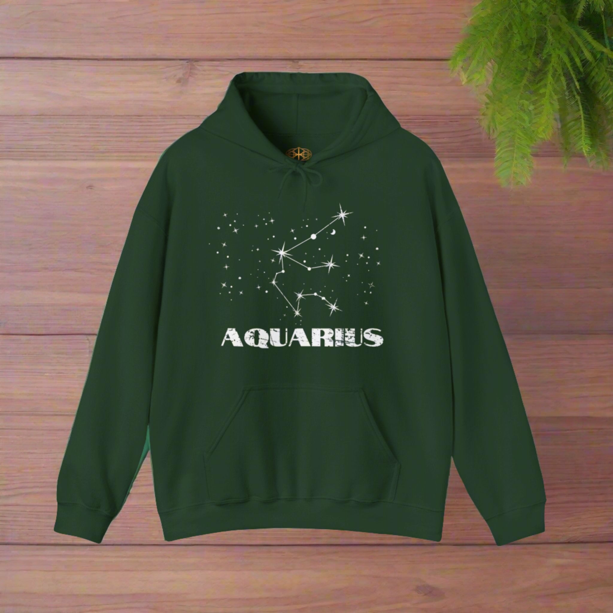 Astrology: Aquarius Hoodie | Coded to Increase Intuition