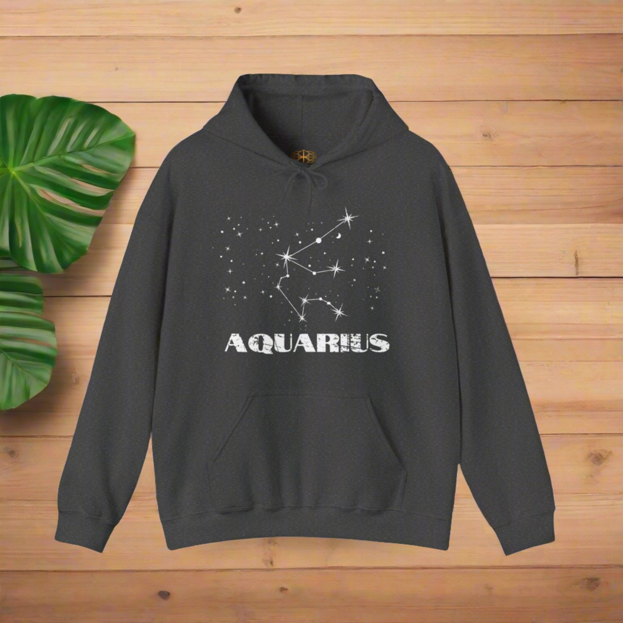 Astrology: Aquarius Hoodie | Coded to Increase Intuition