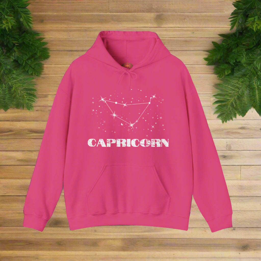 Astrology: Capricorn Hoodie | Coded to Increase Intuition